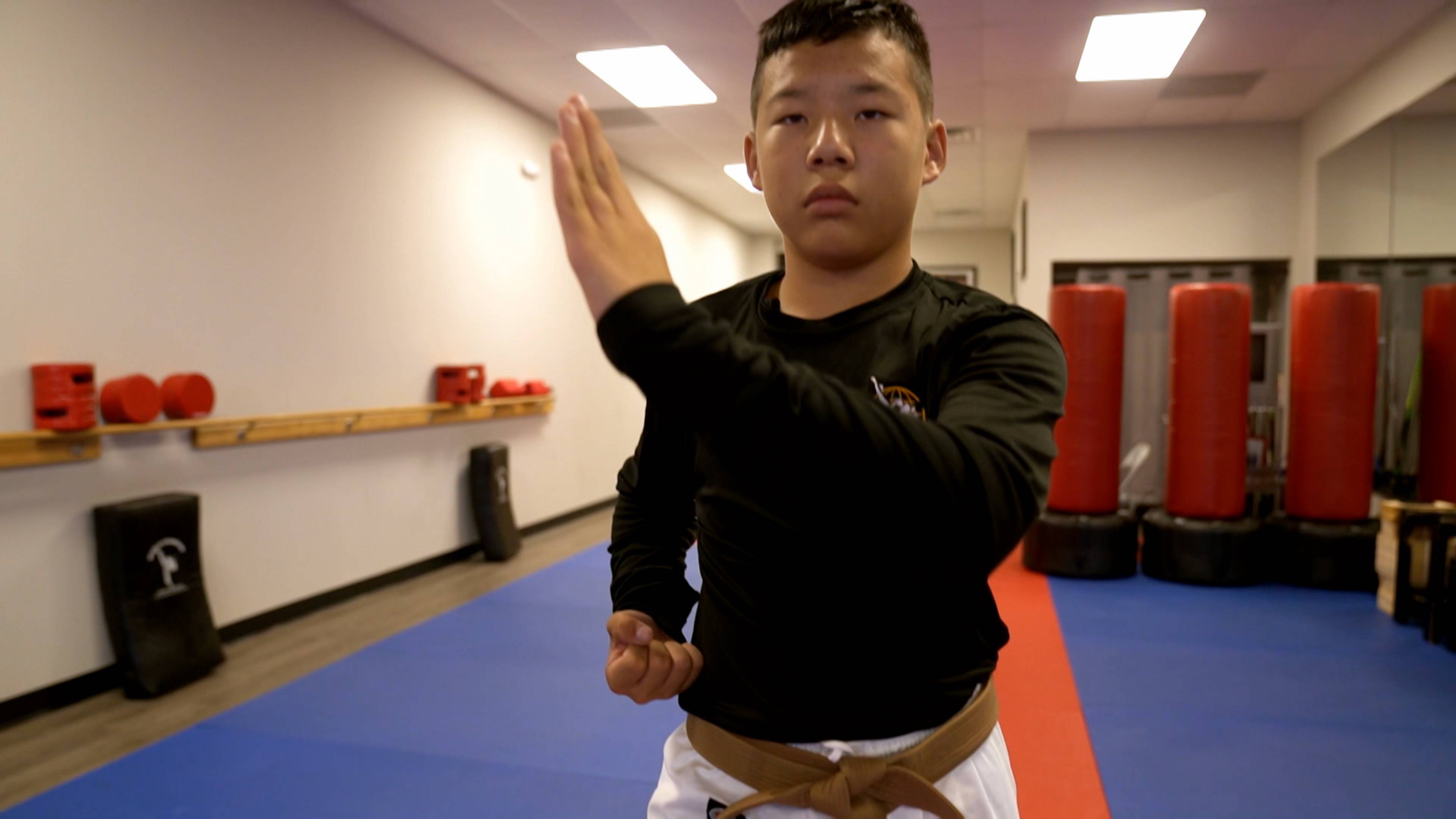 Fox in the Hen House