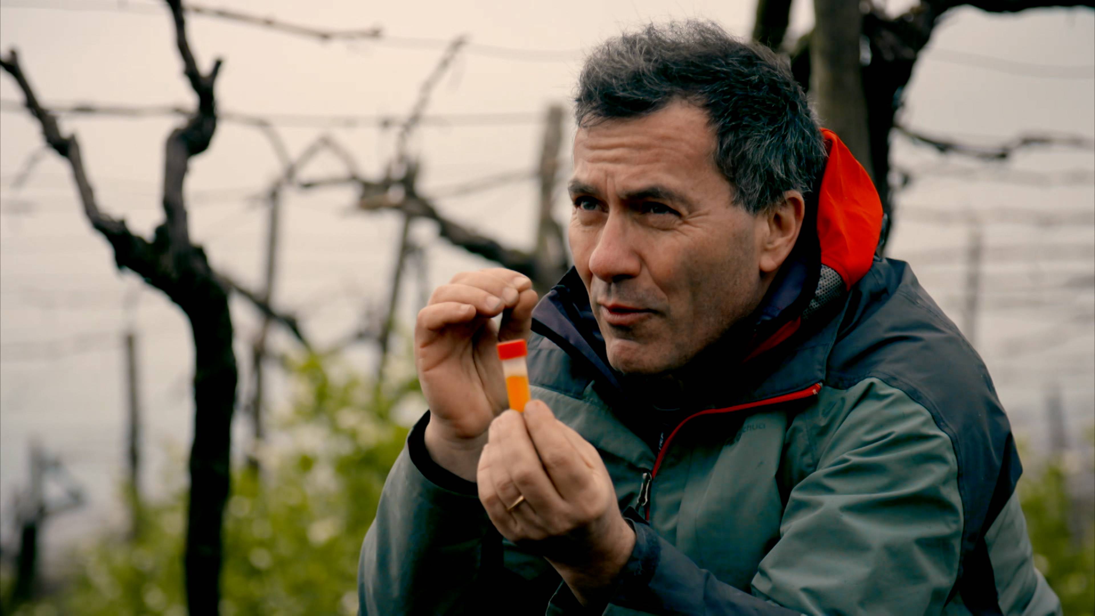 Pompeii's Doomsday Mummies