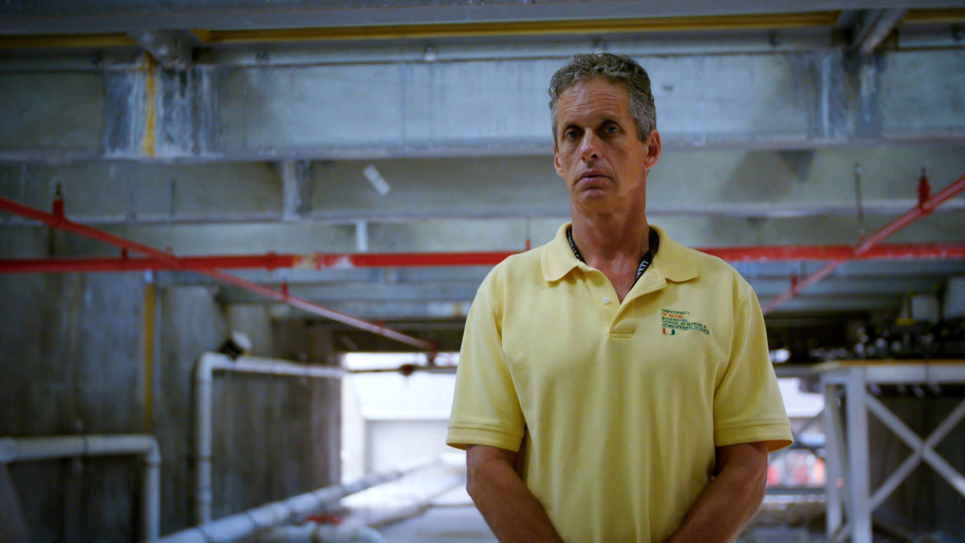 Draining the Bermuda Triangle