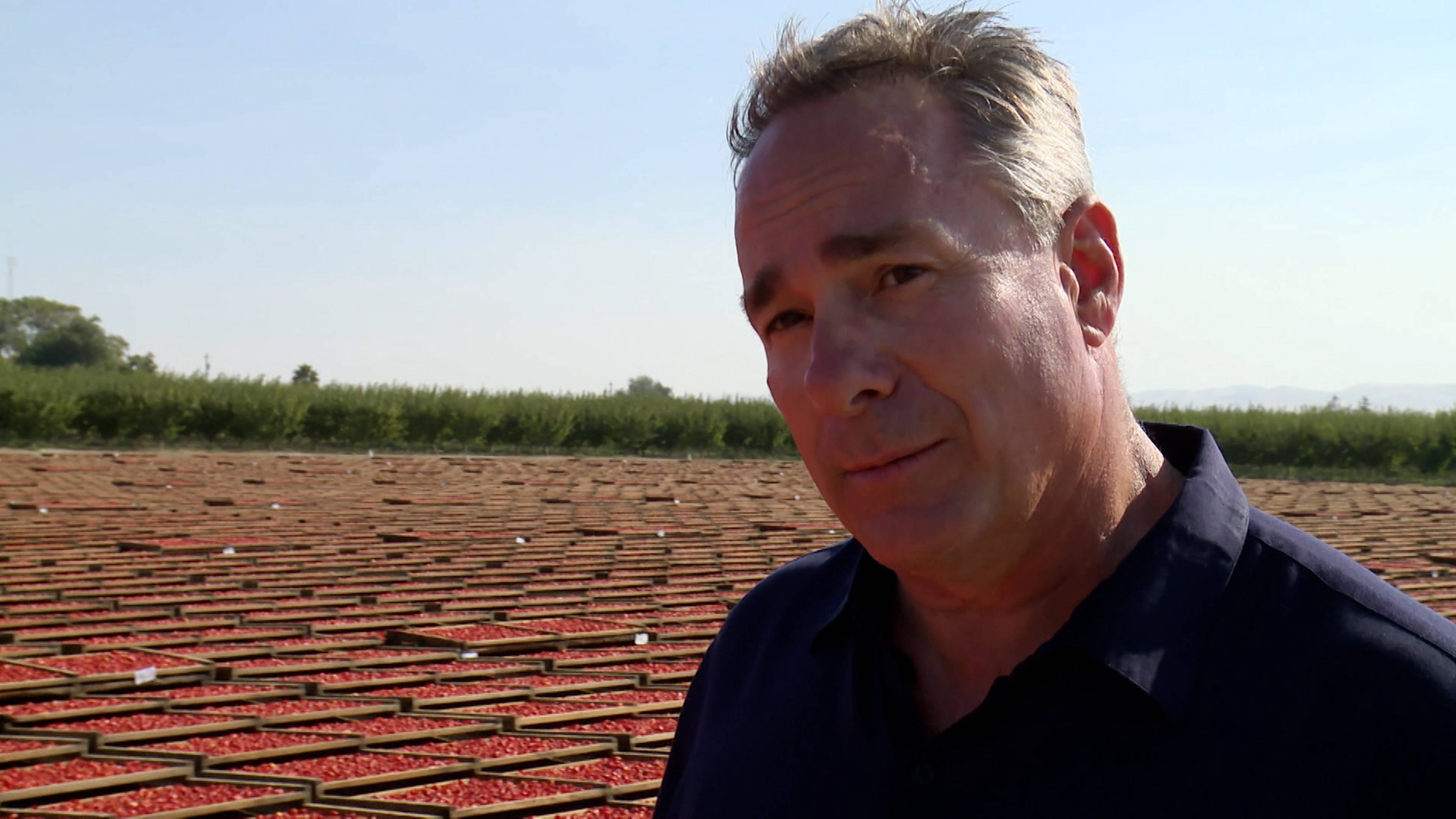 المطار و الطماطم المجففة