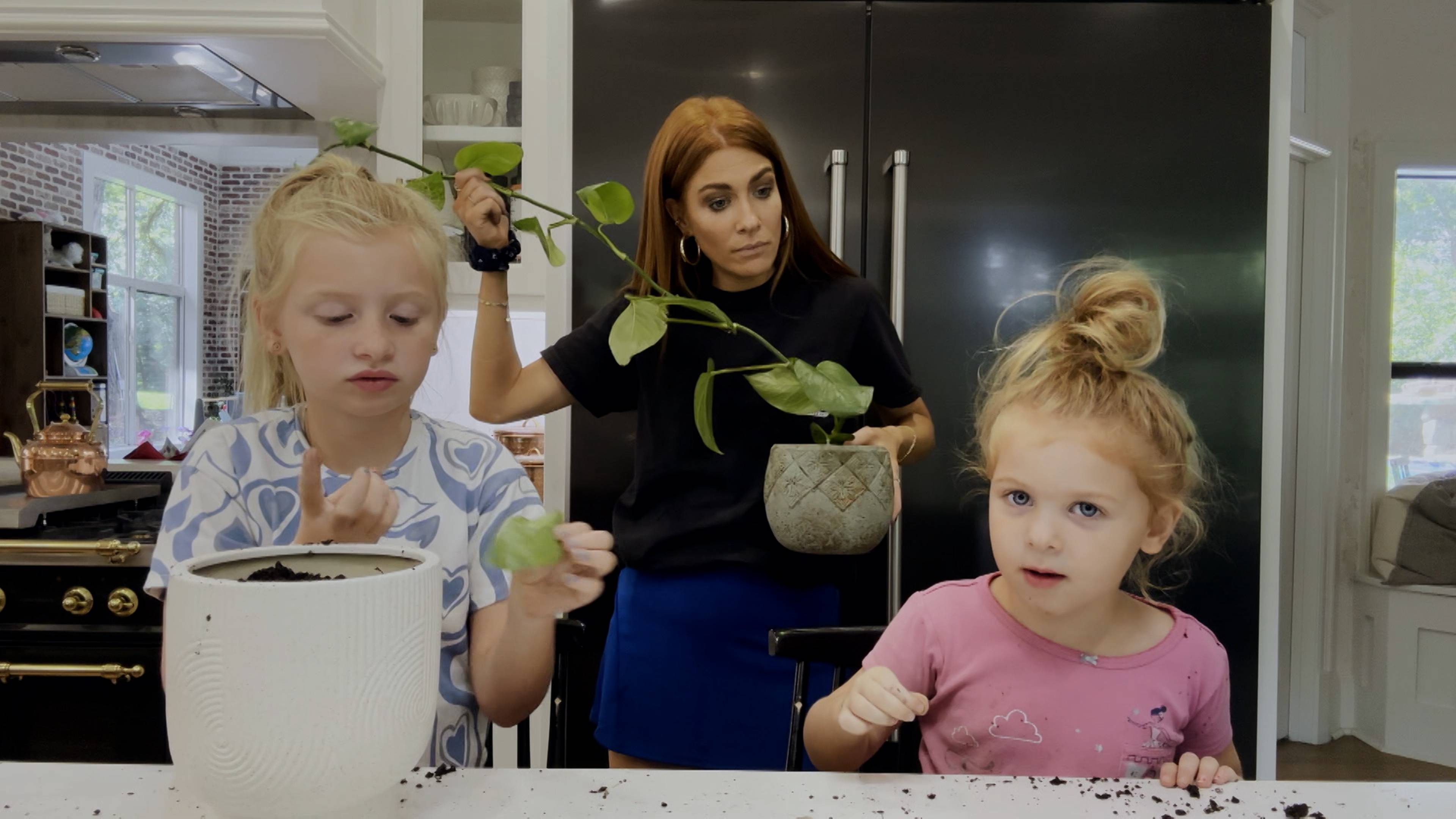 تجديد الستينيات