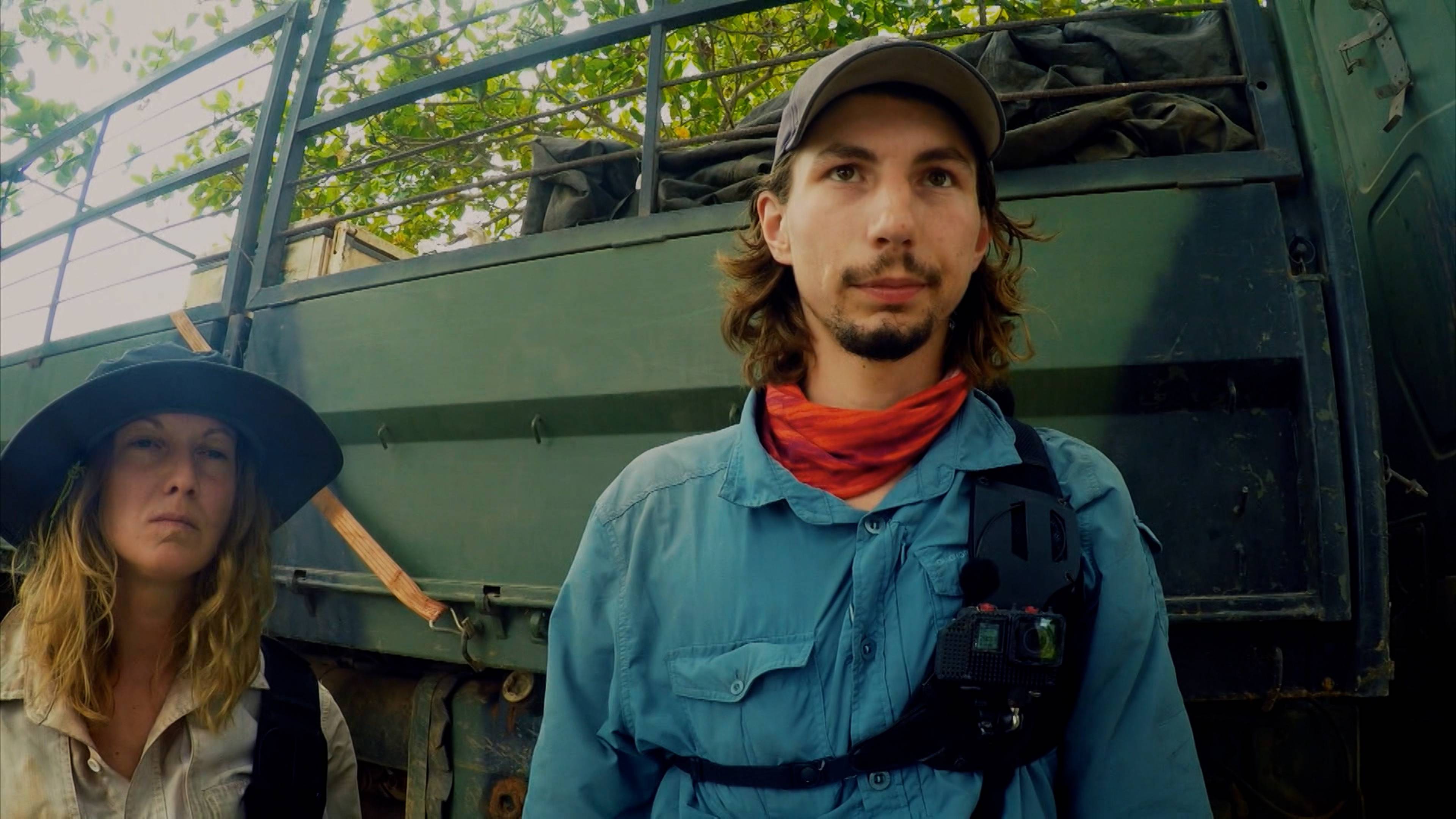 حروب الذهب: صحوة الغابة