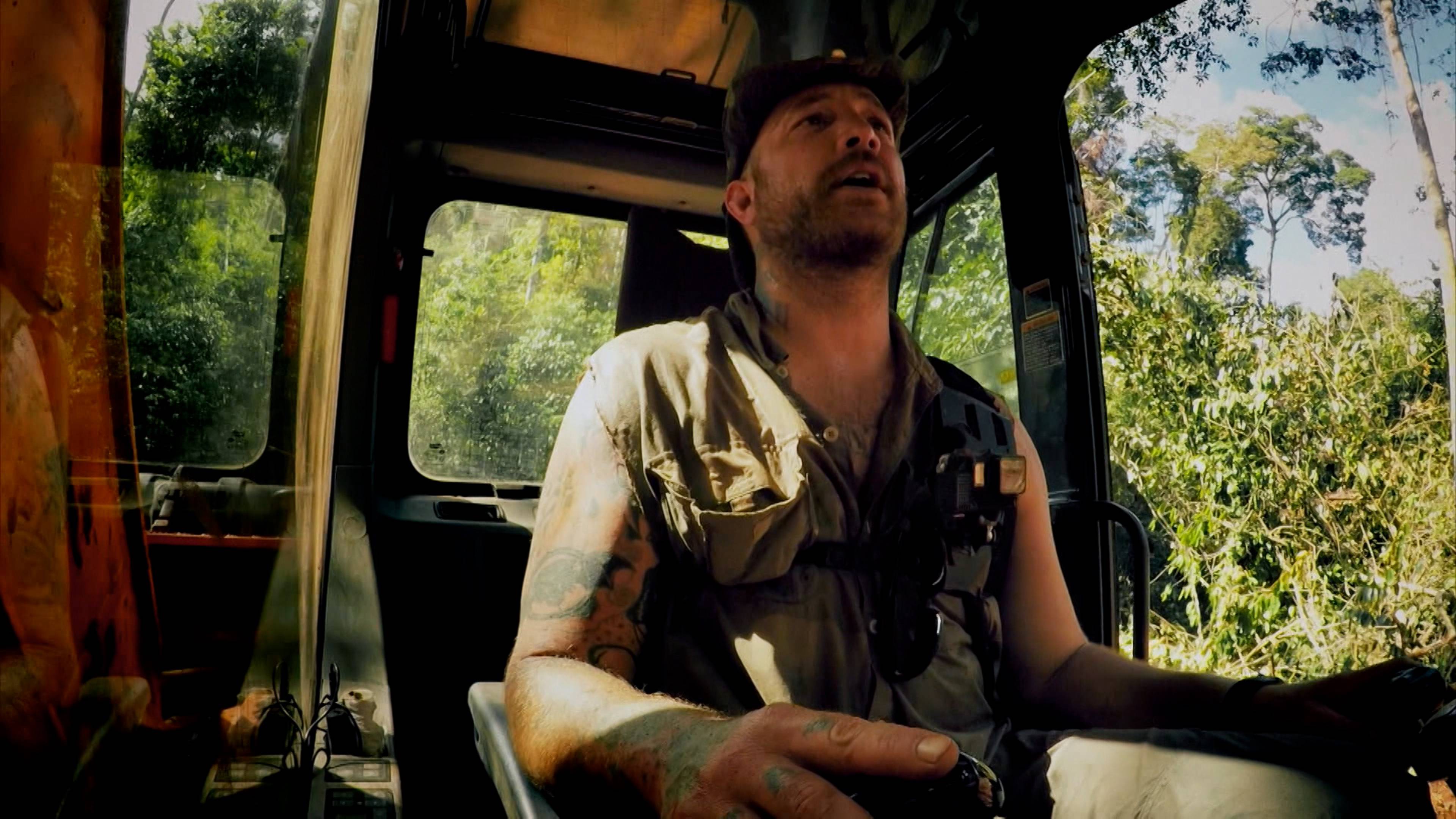 انتقام الغابة