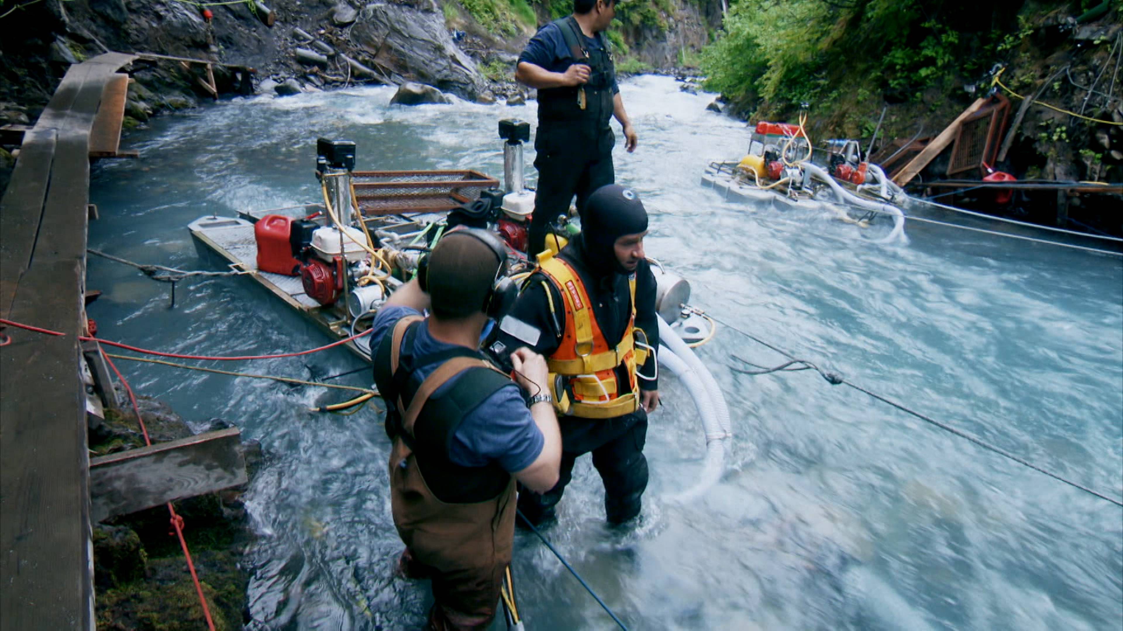 عندما تهاجم الدببة