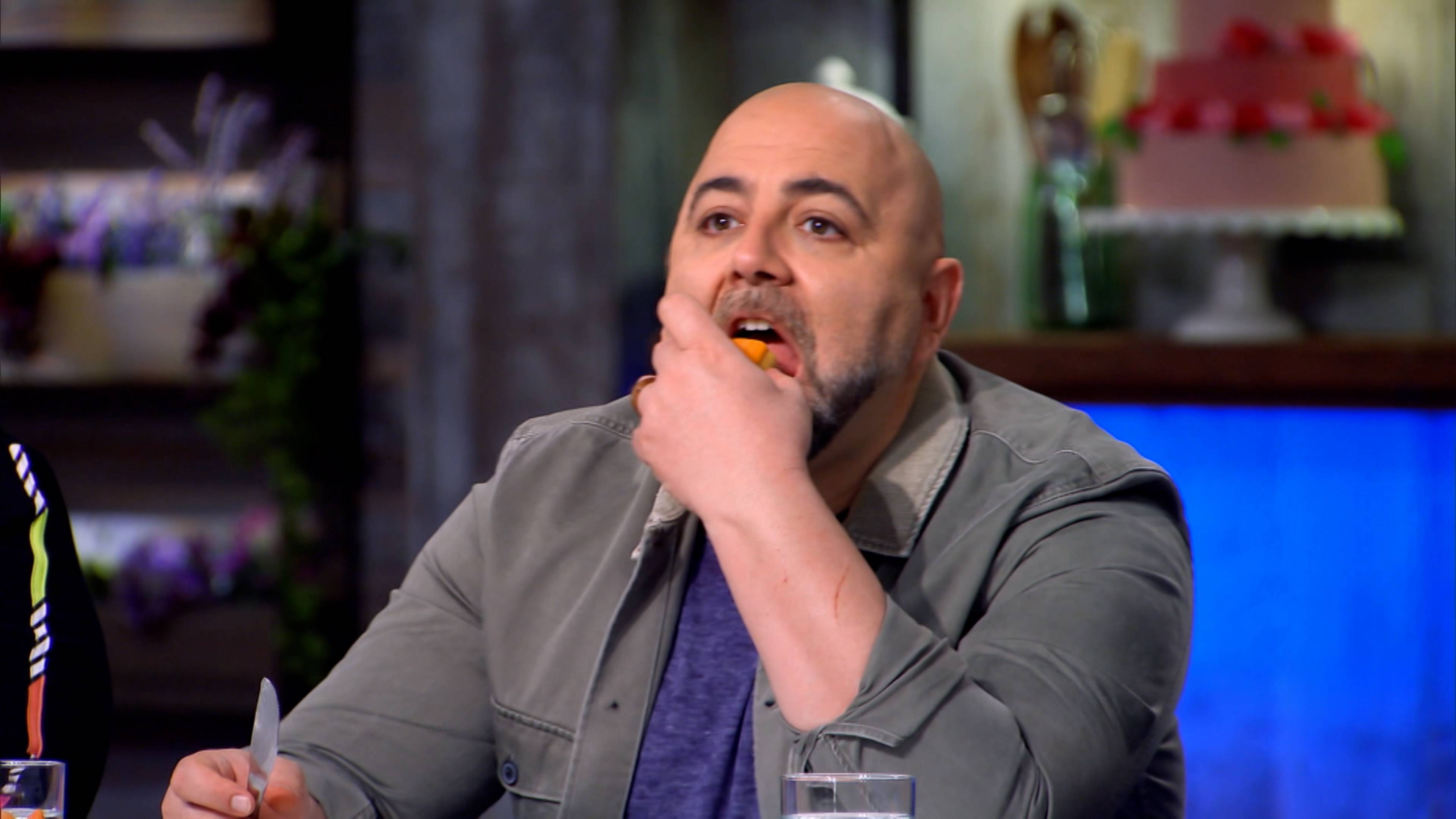 واحد عن الجراء والقطط