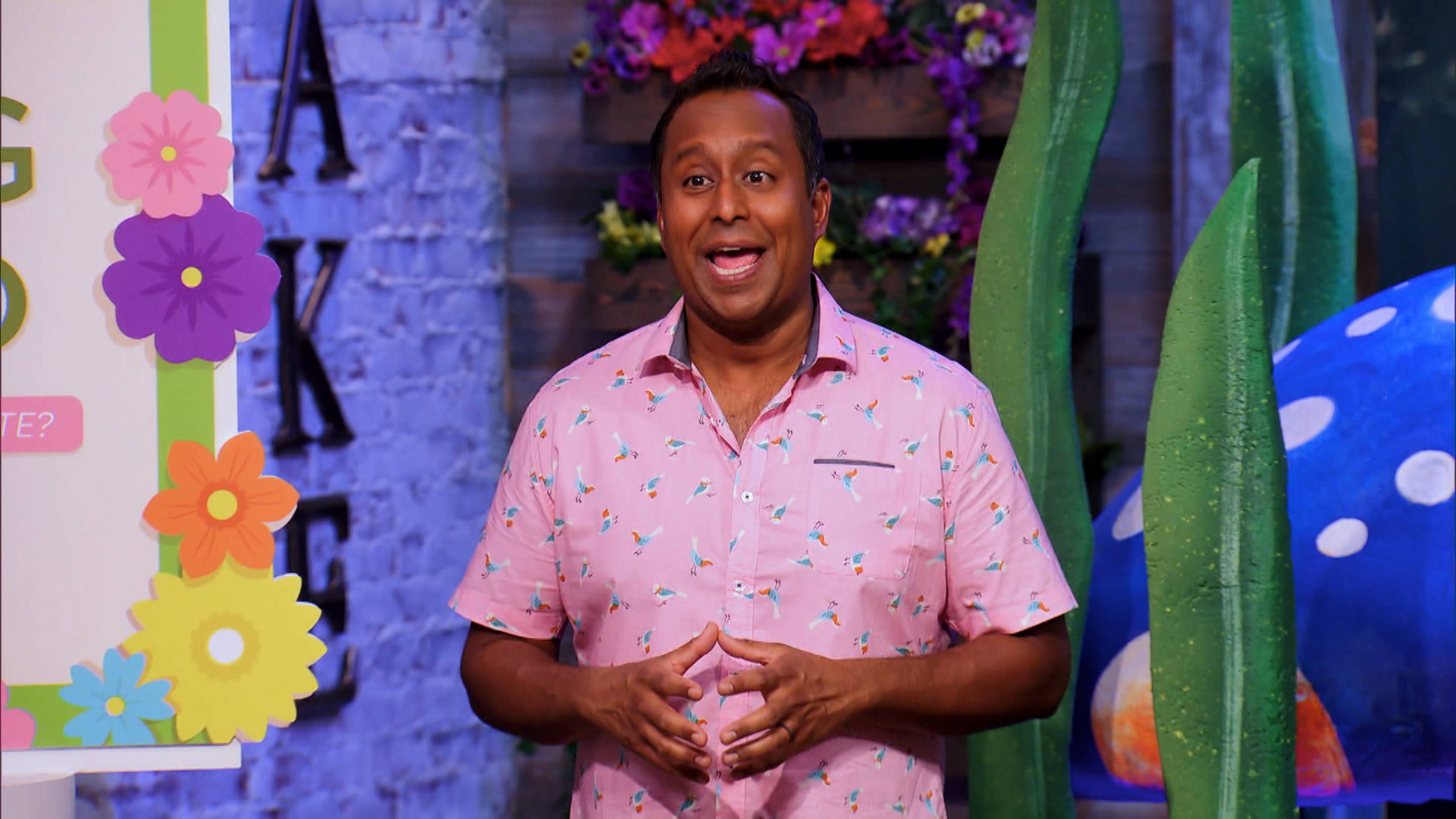 حدائق الربيع: الطيور والحشرات