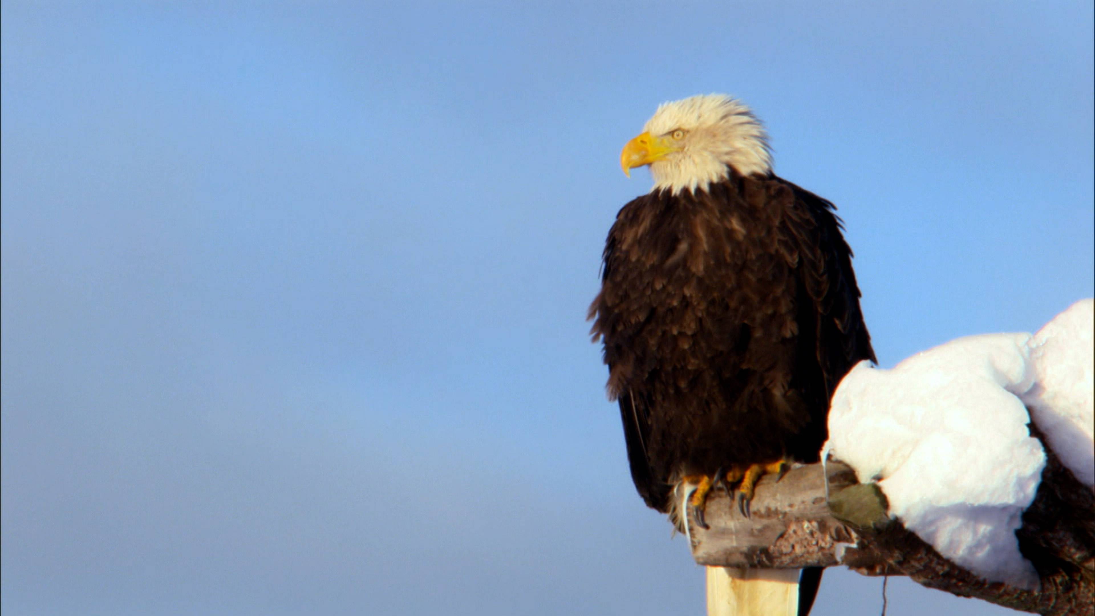 ثلج وبرد وظلام