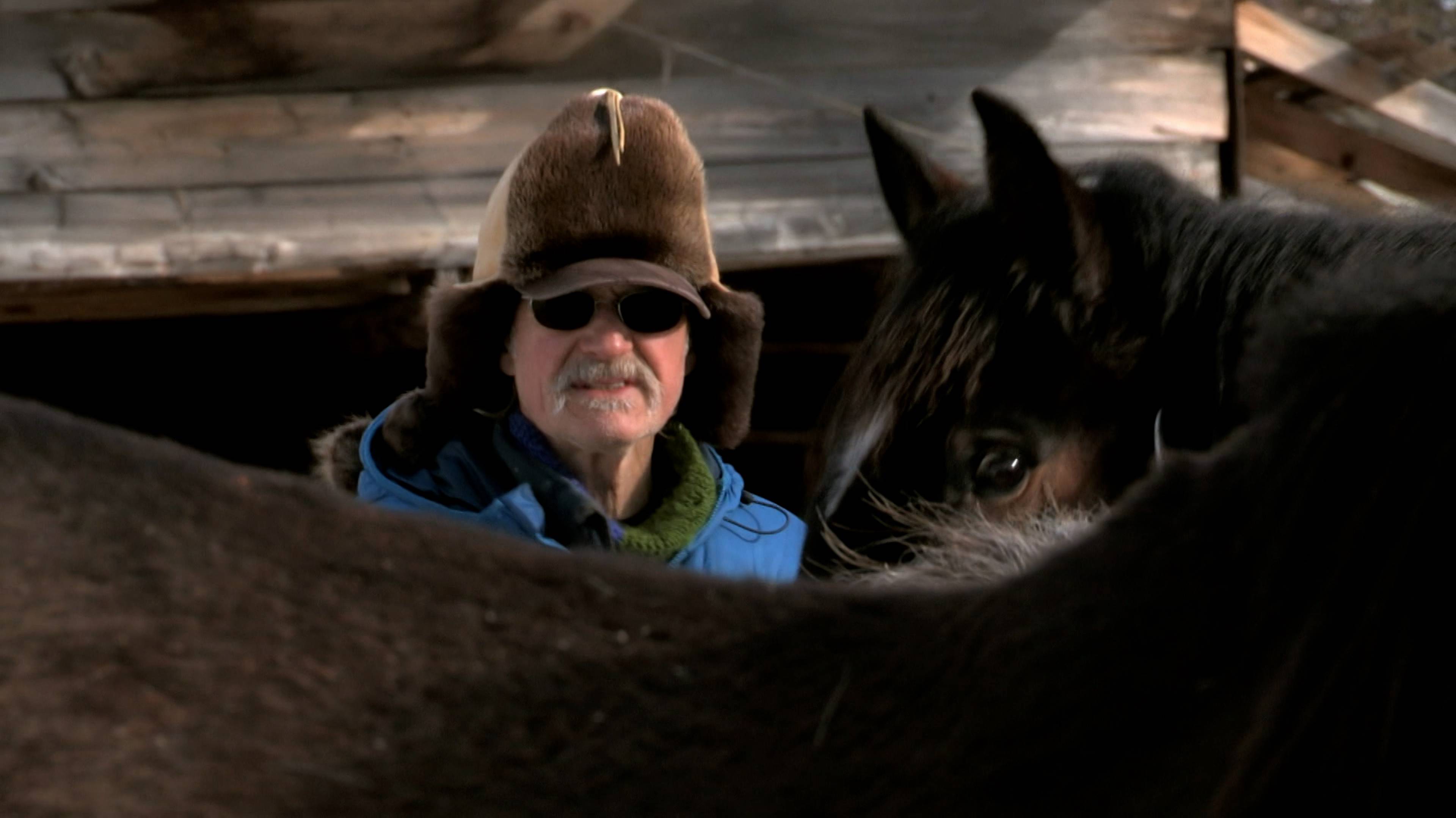 قلب الشتاء القاسي