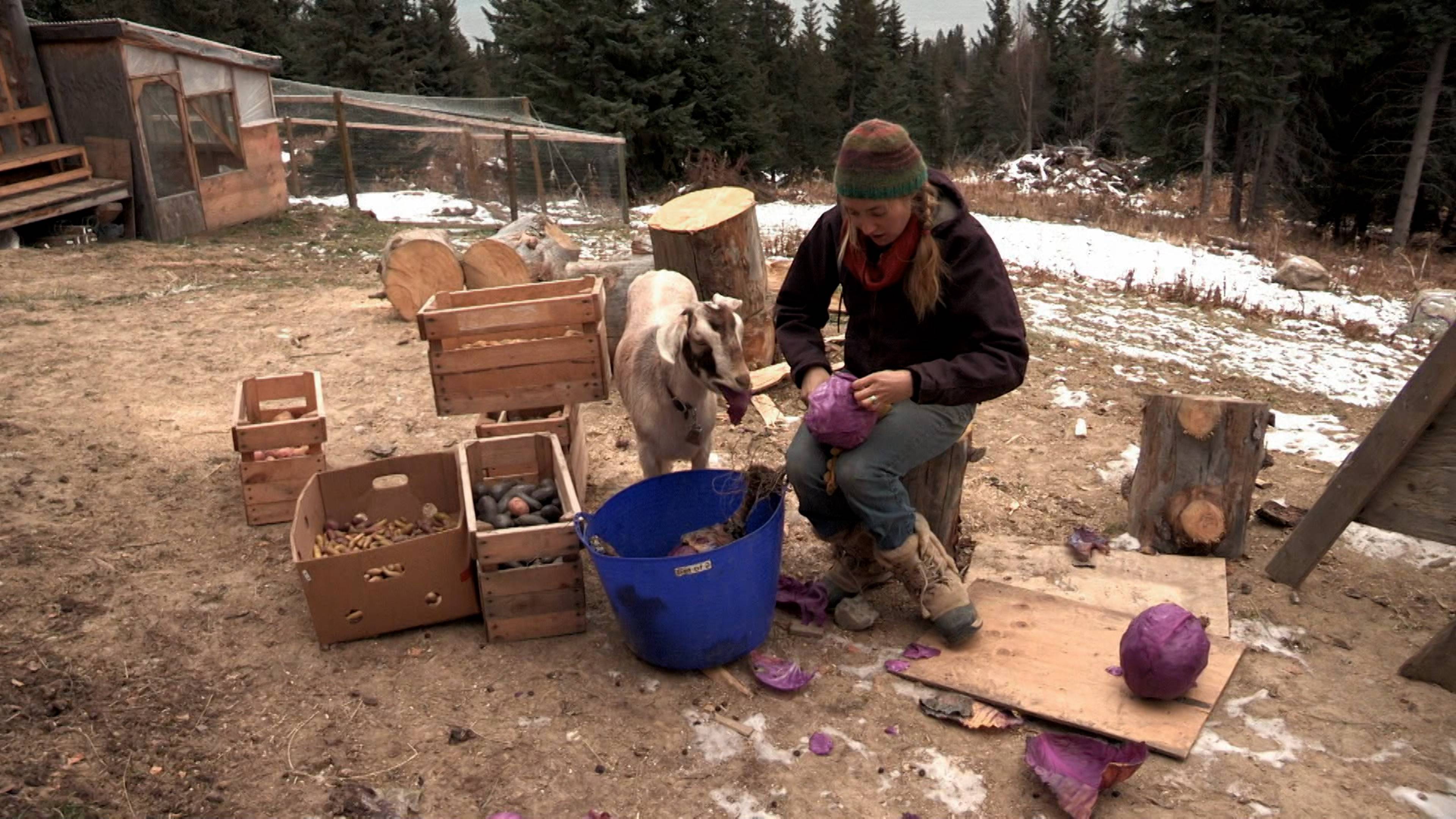 زوبعة الخريف