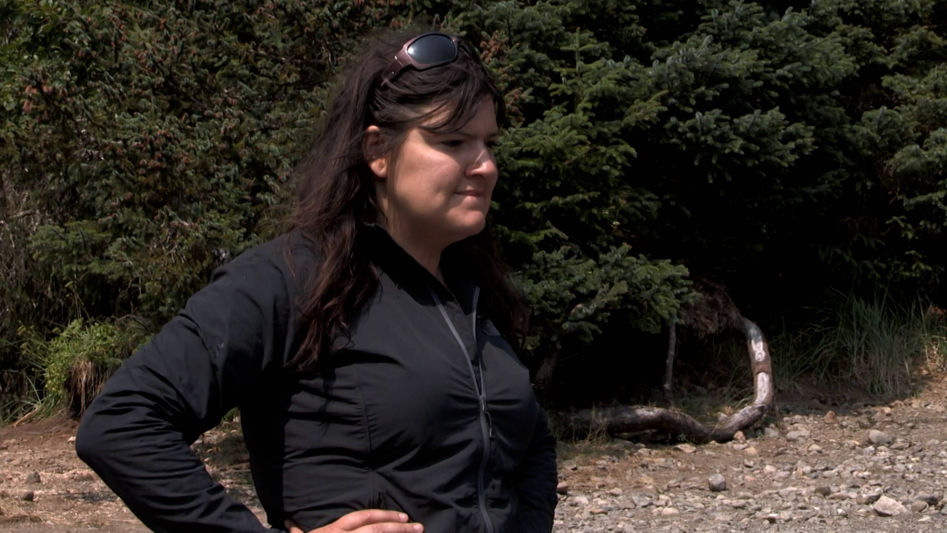 إلى أراضٍ أخصب