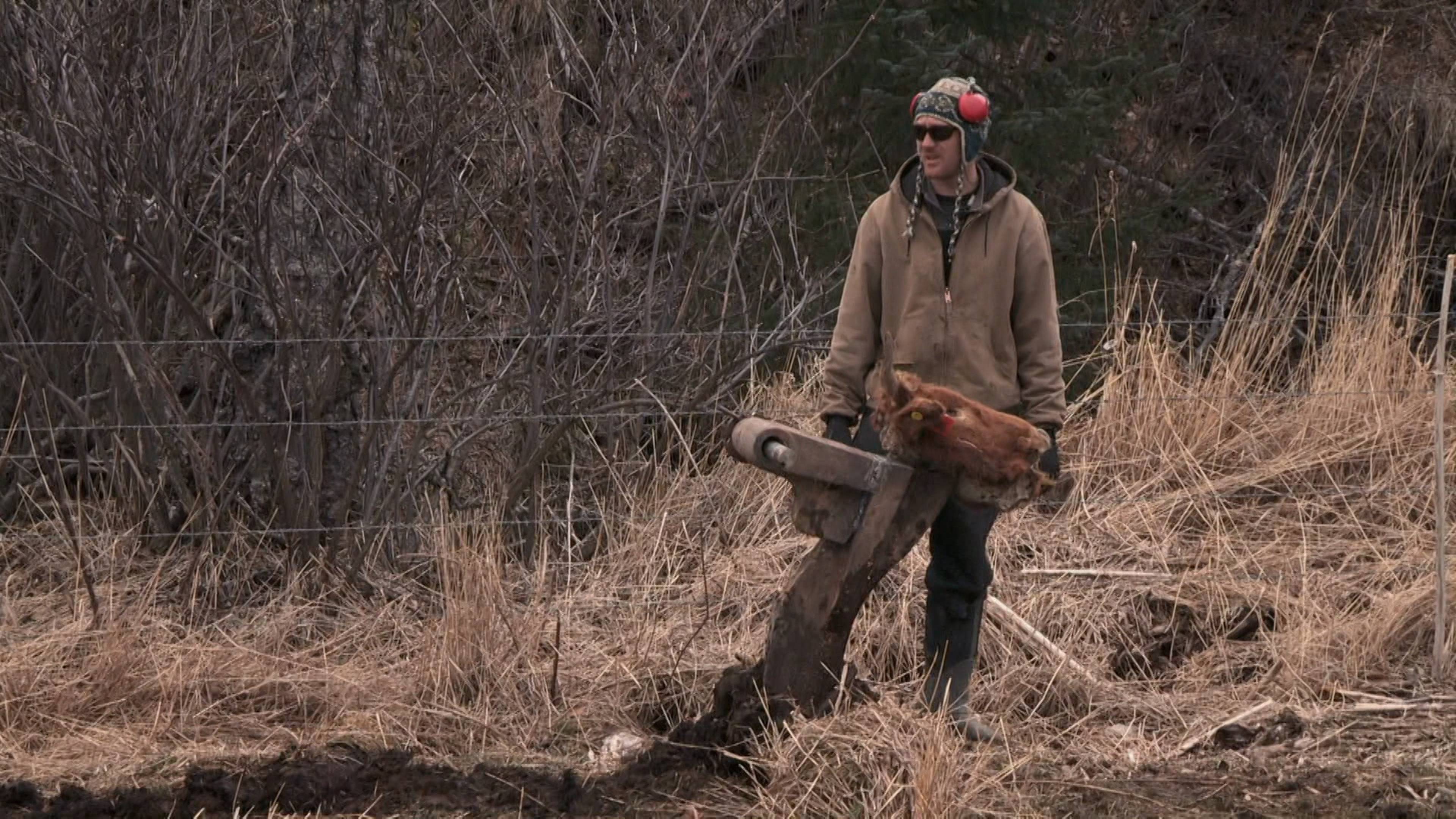 العرق والكدّ... ثم الكأس