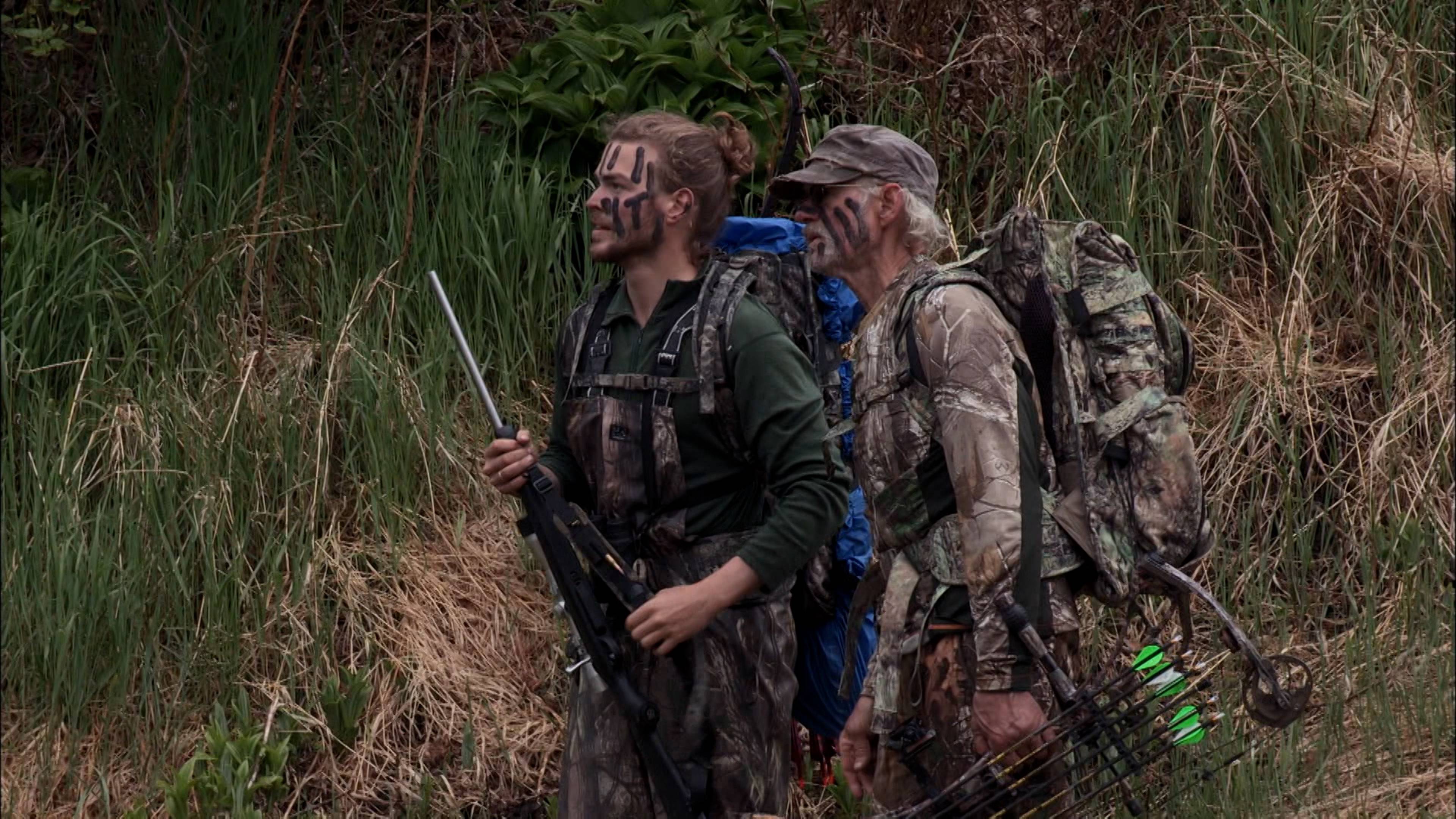 نداء إلى كل الدببة