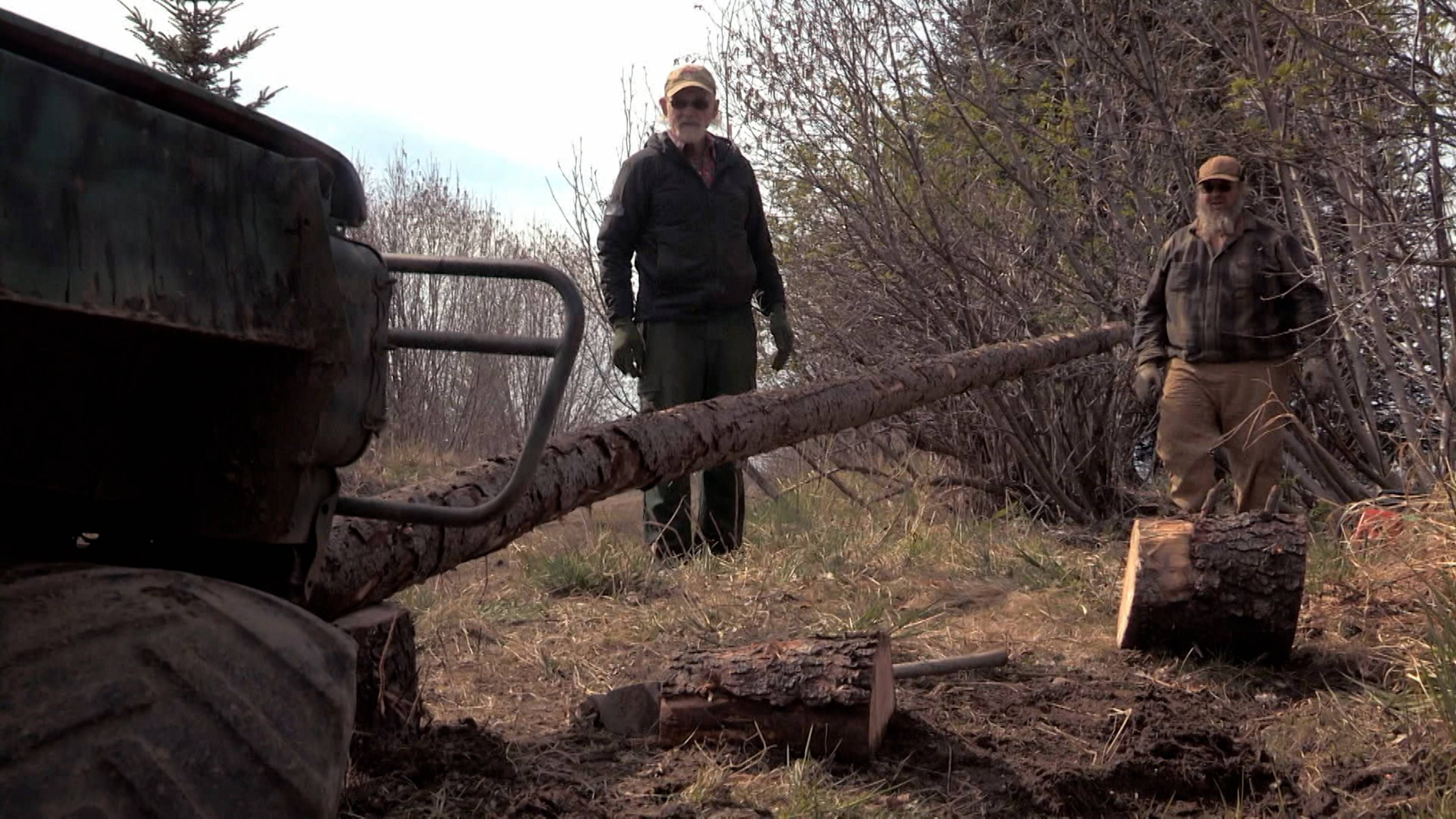 تحت رحمة الجراح