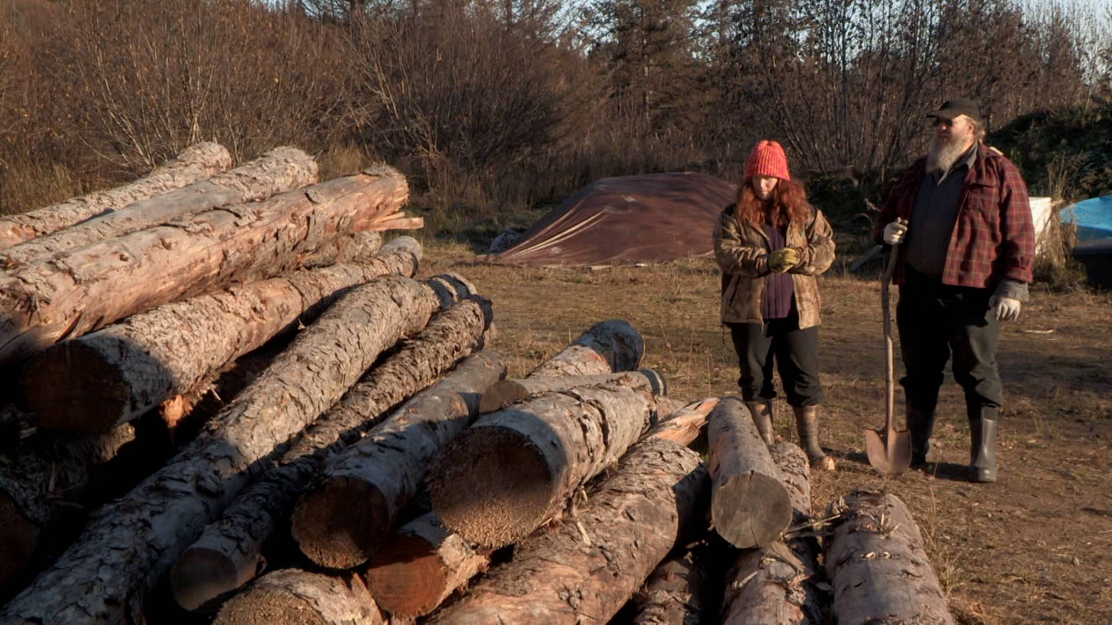 الشتاء قادم
