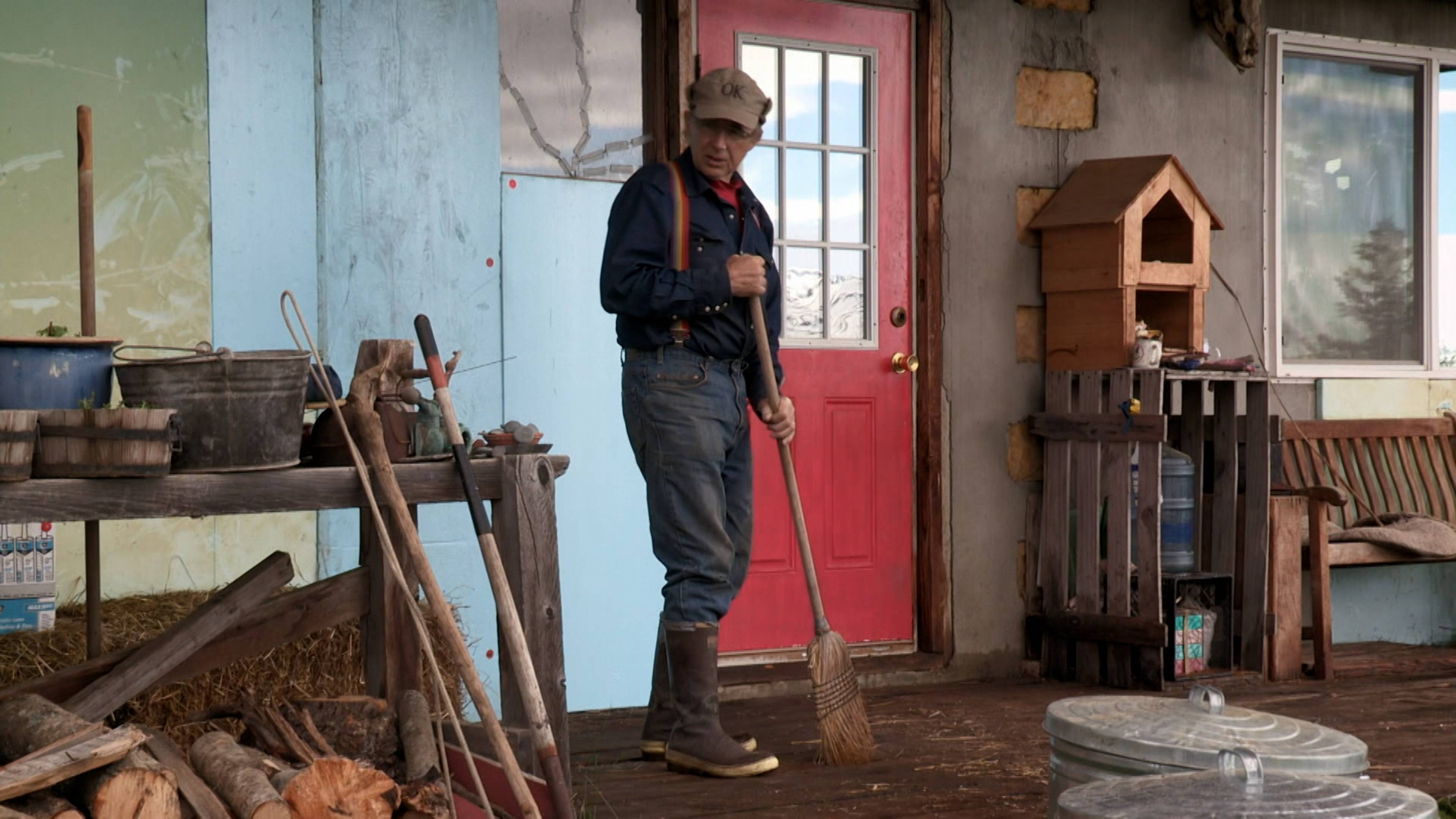 لحظة تحرر الجاموس