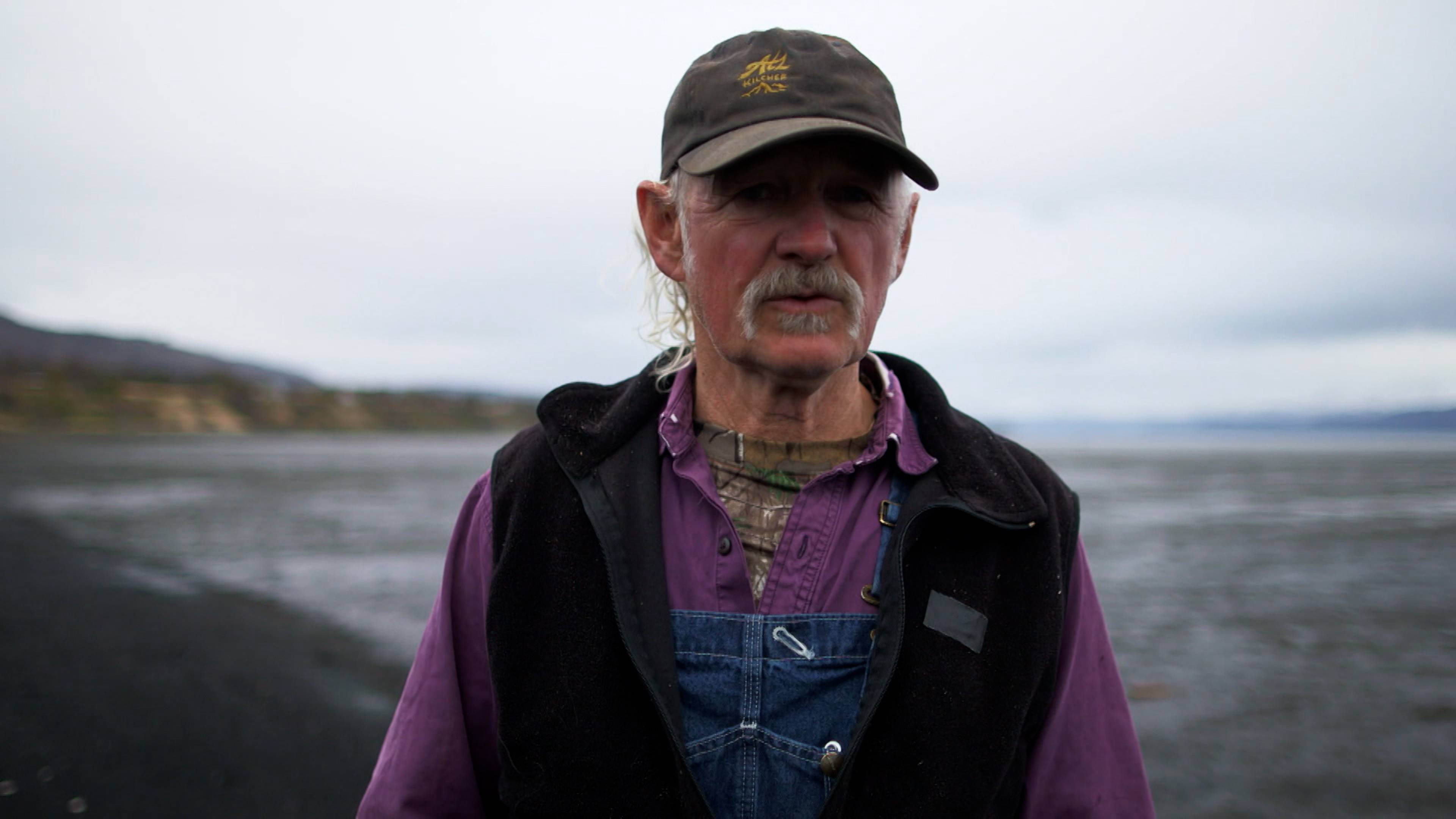 هجوم المفترس