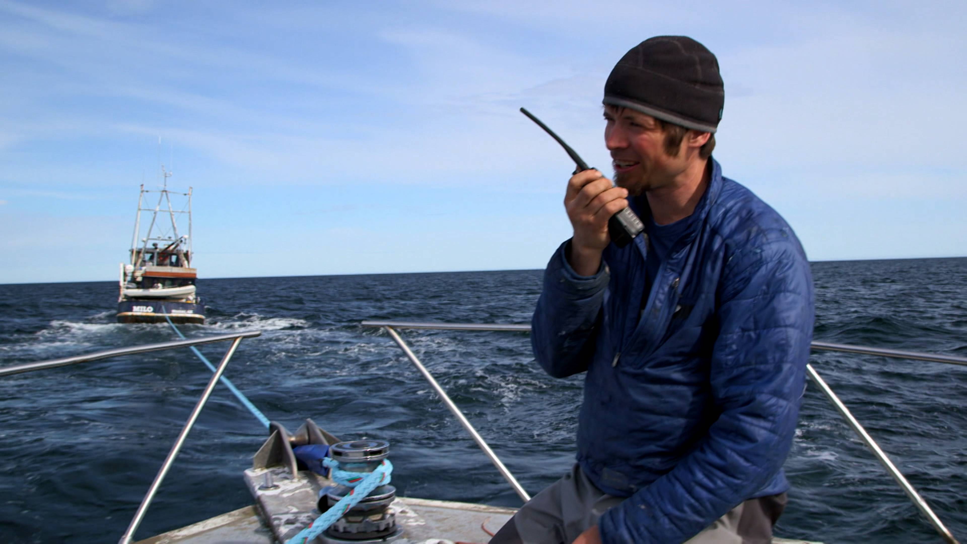 احتفال الميلاد مستمر