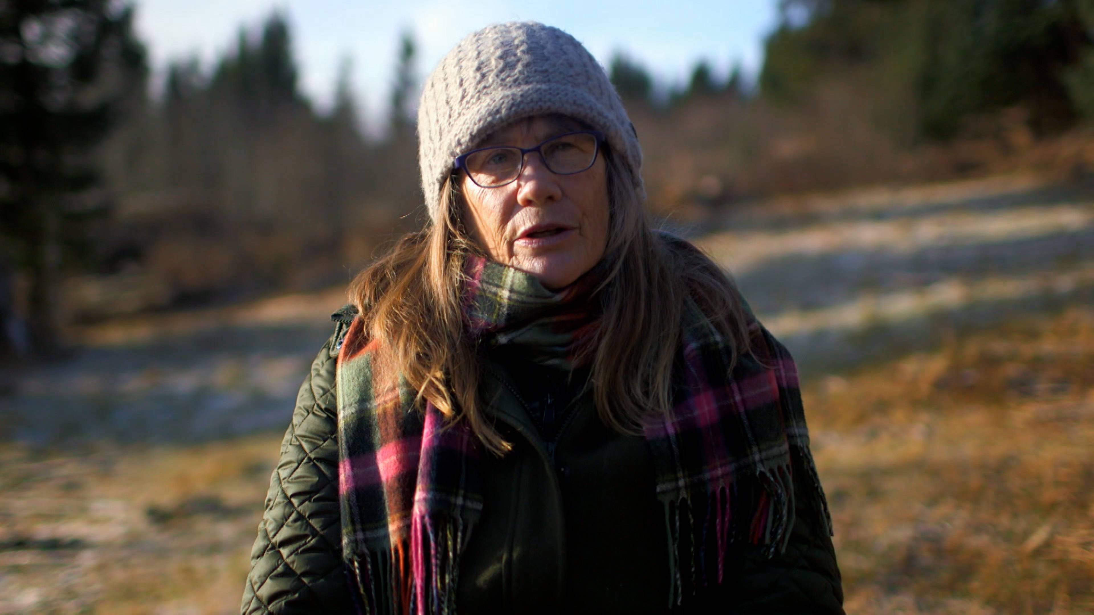 إثارة الصيد