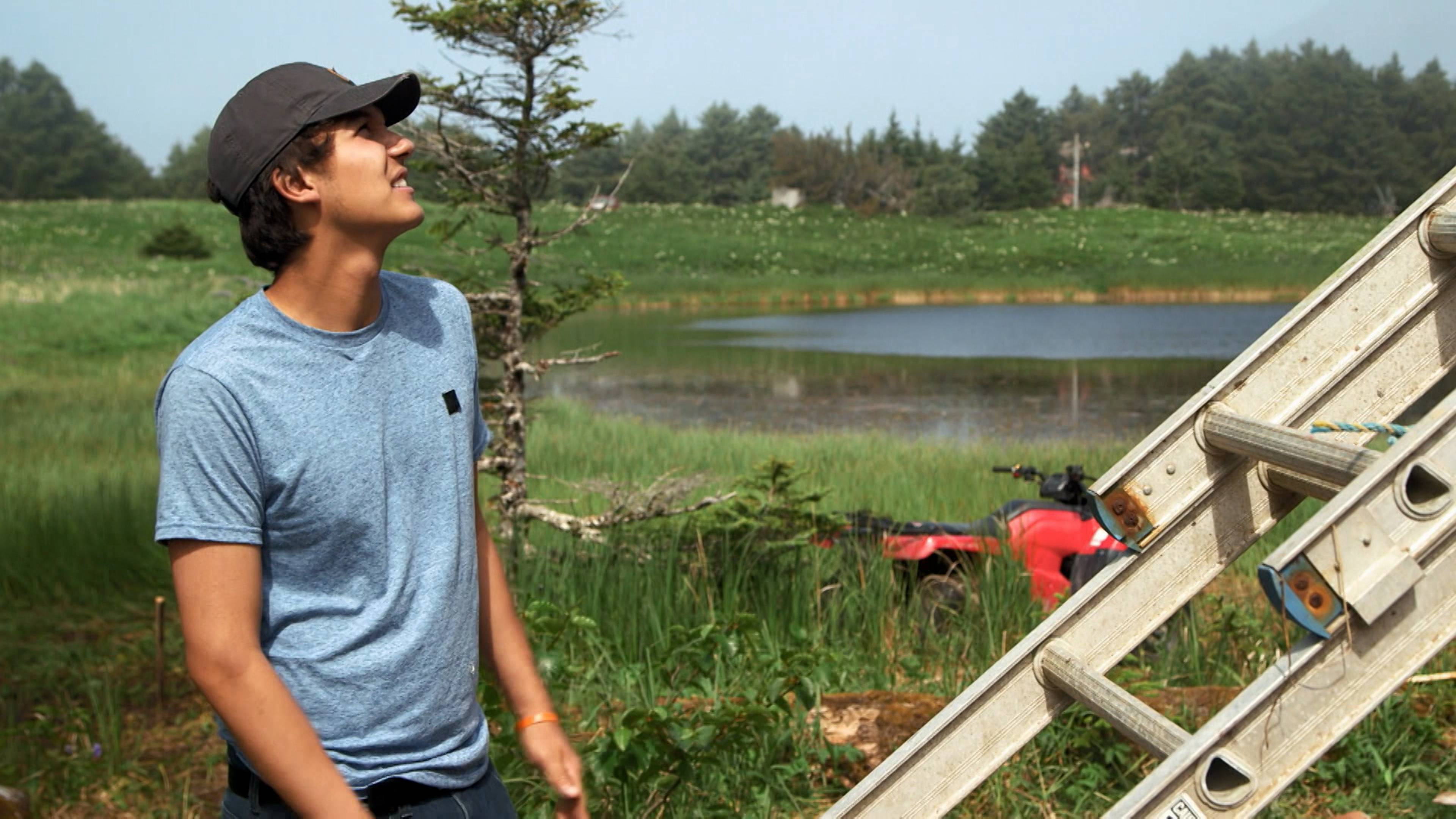 مفاجأة أوتو