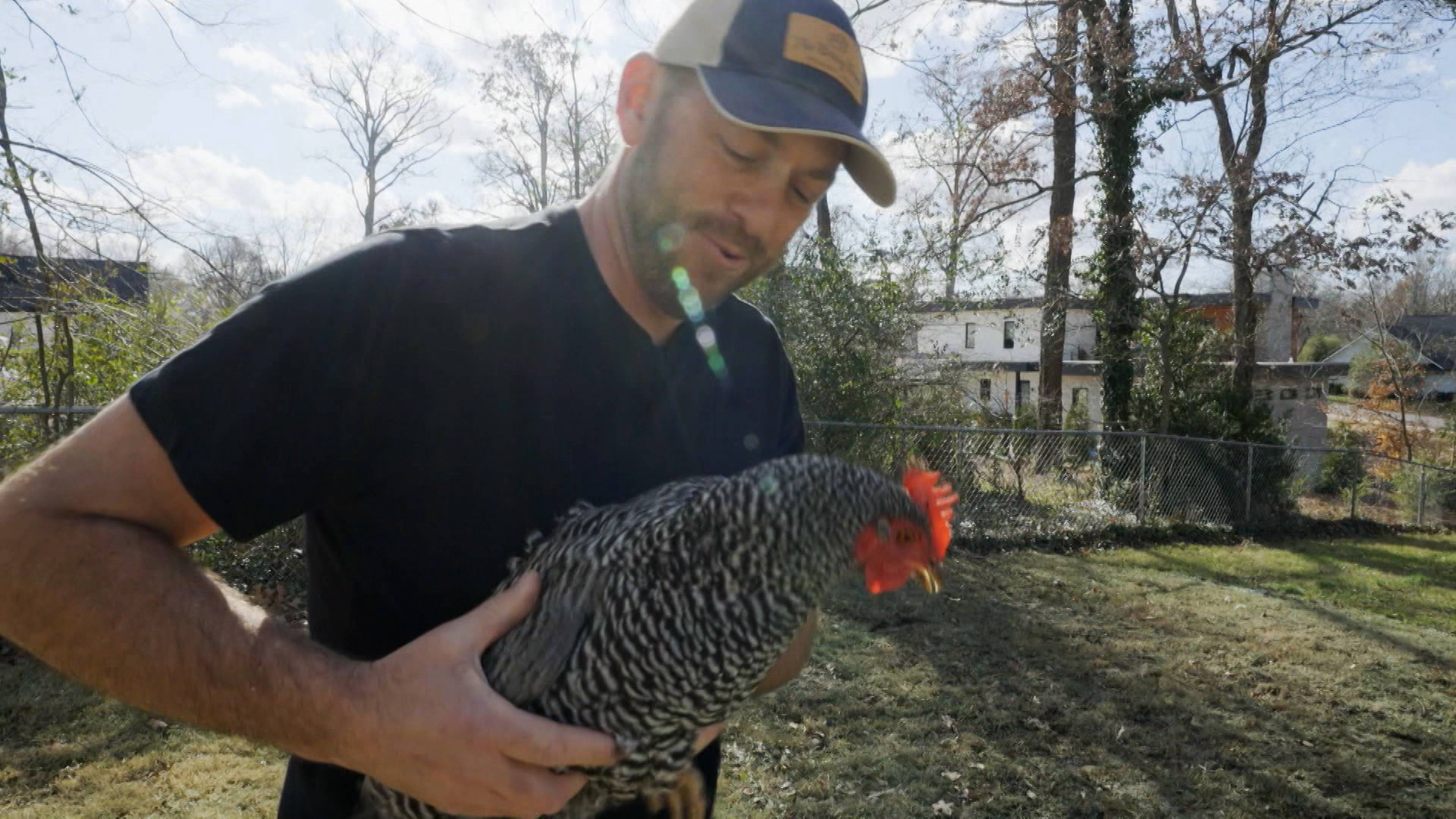 Small House to Cozy Casita