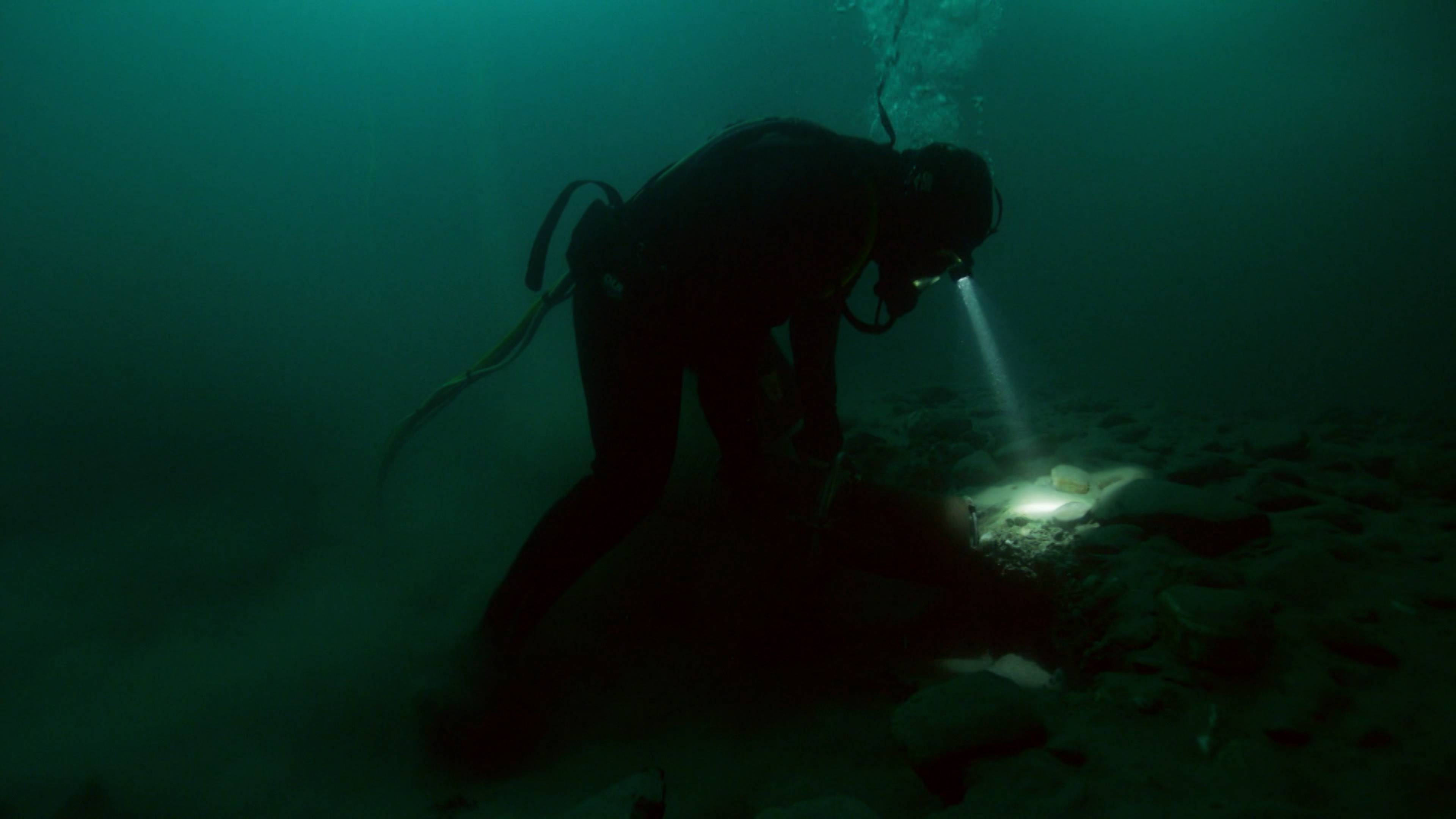 The Wolf of Wall Streak