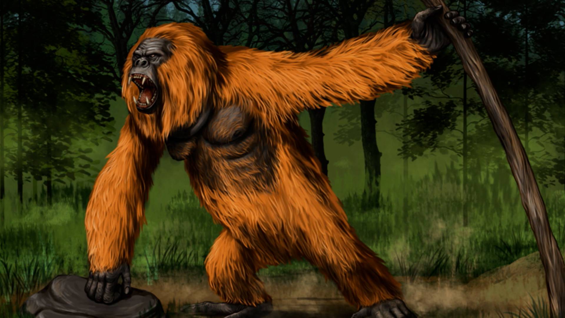 What is the Yeti?