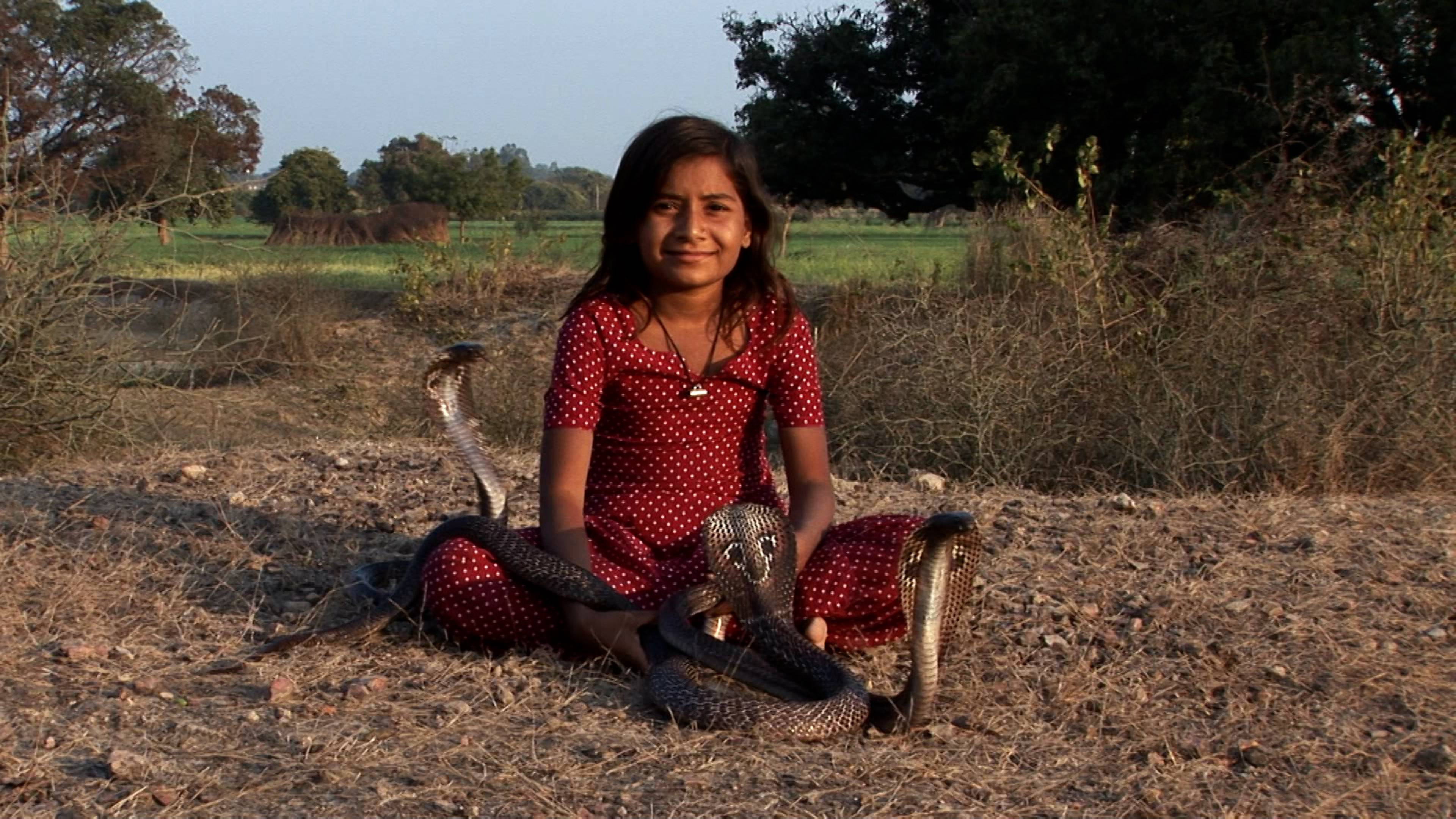 My Baby Has Eight Limbs