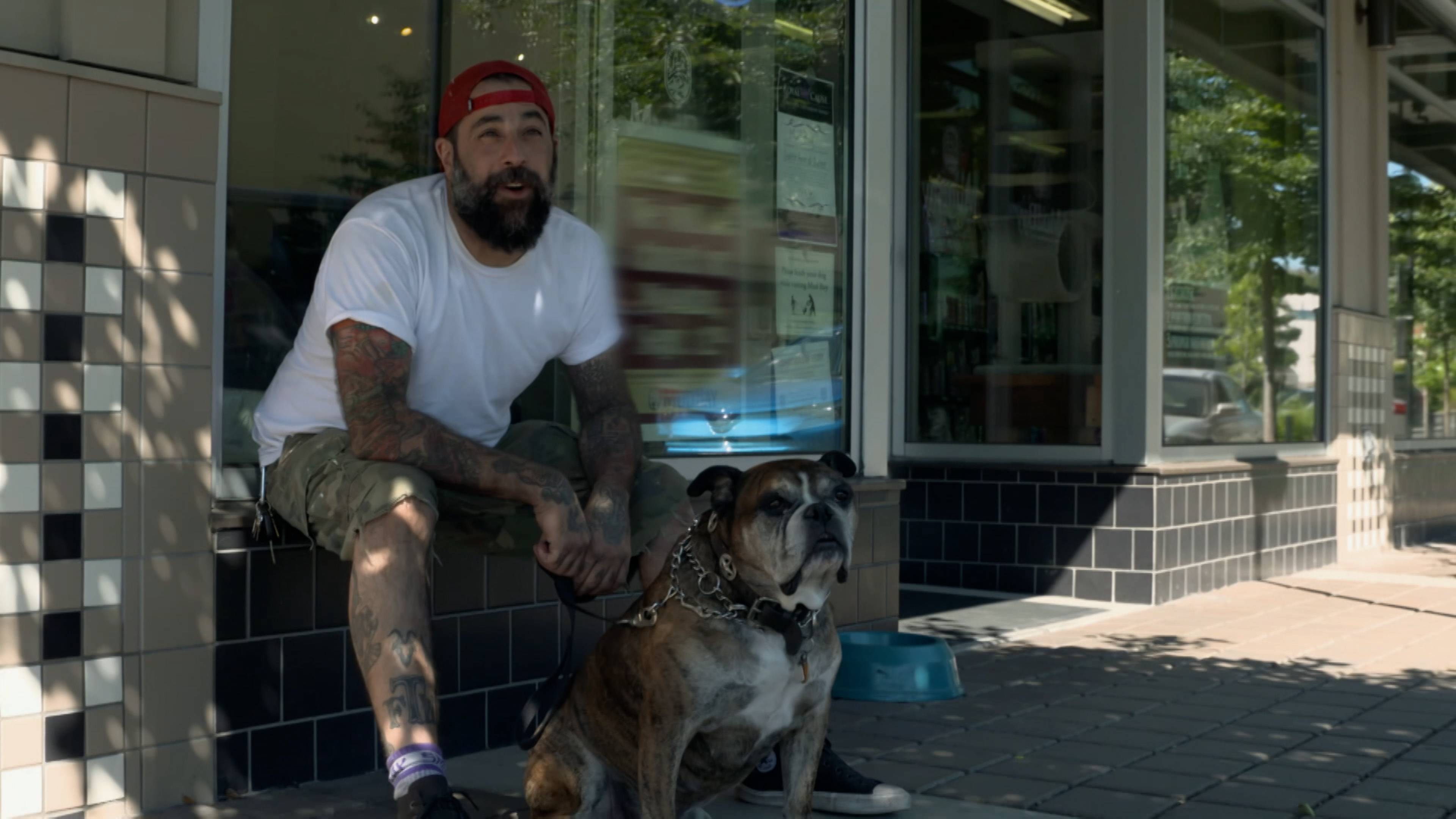 Tricked-Out Cat Castle