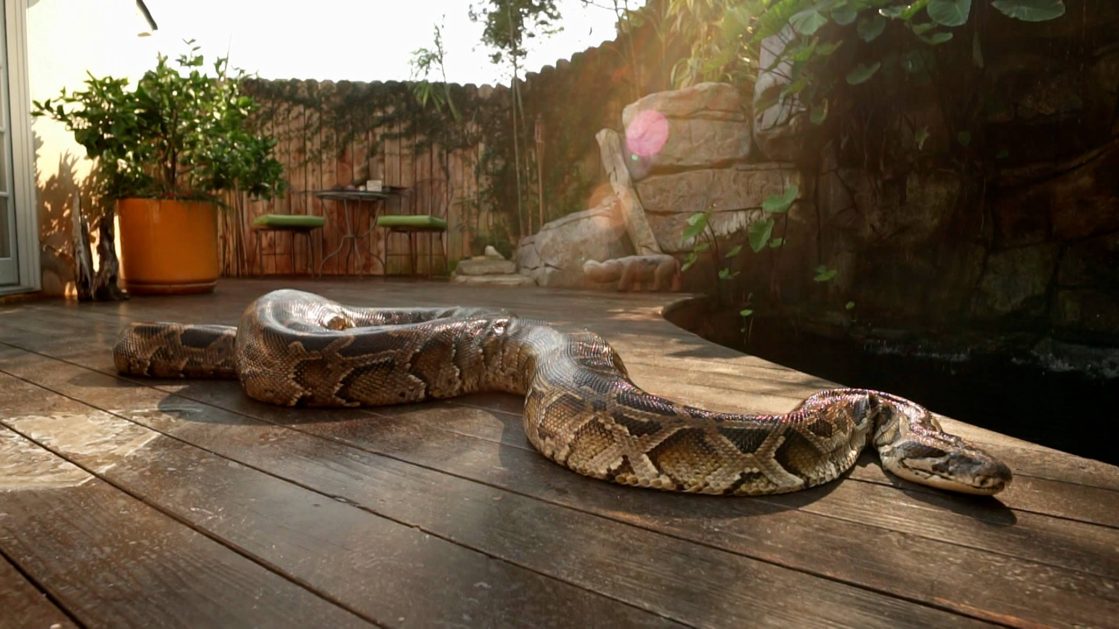 Subterranean Paradise