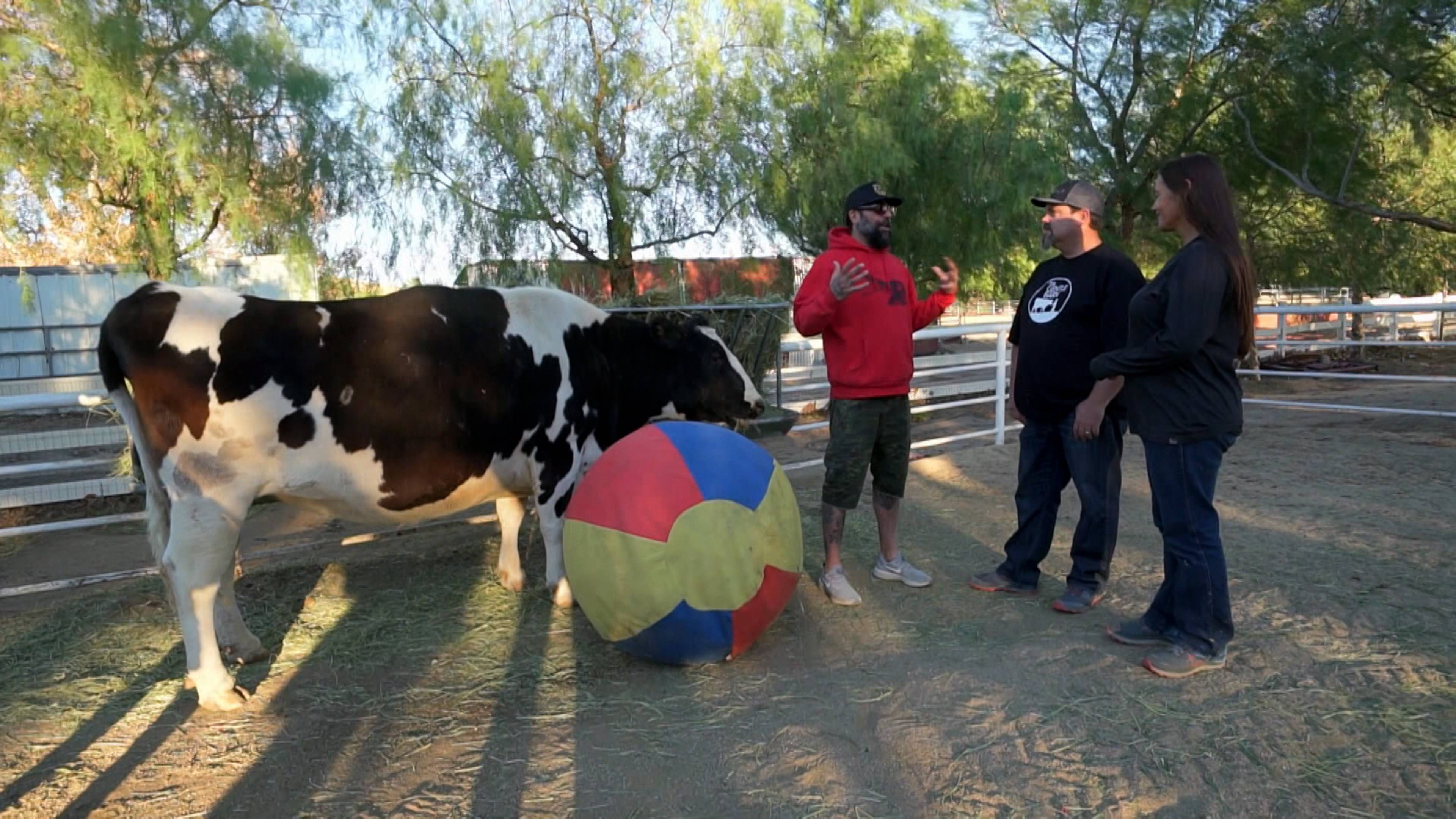 Rescue Ranch Remodel