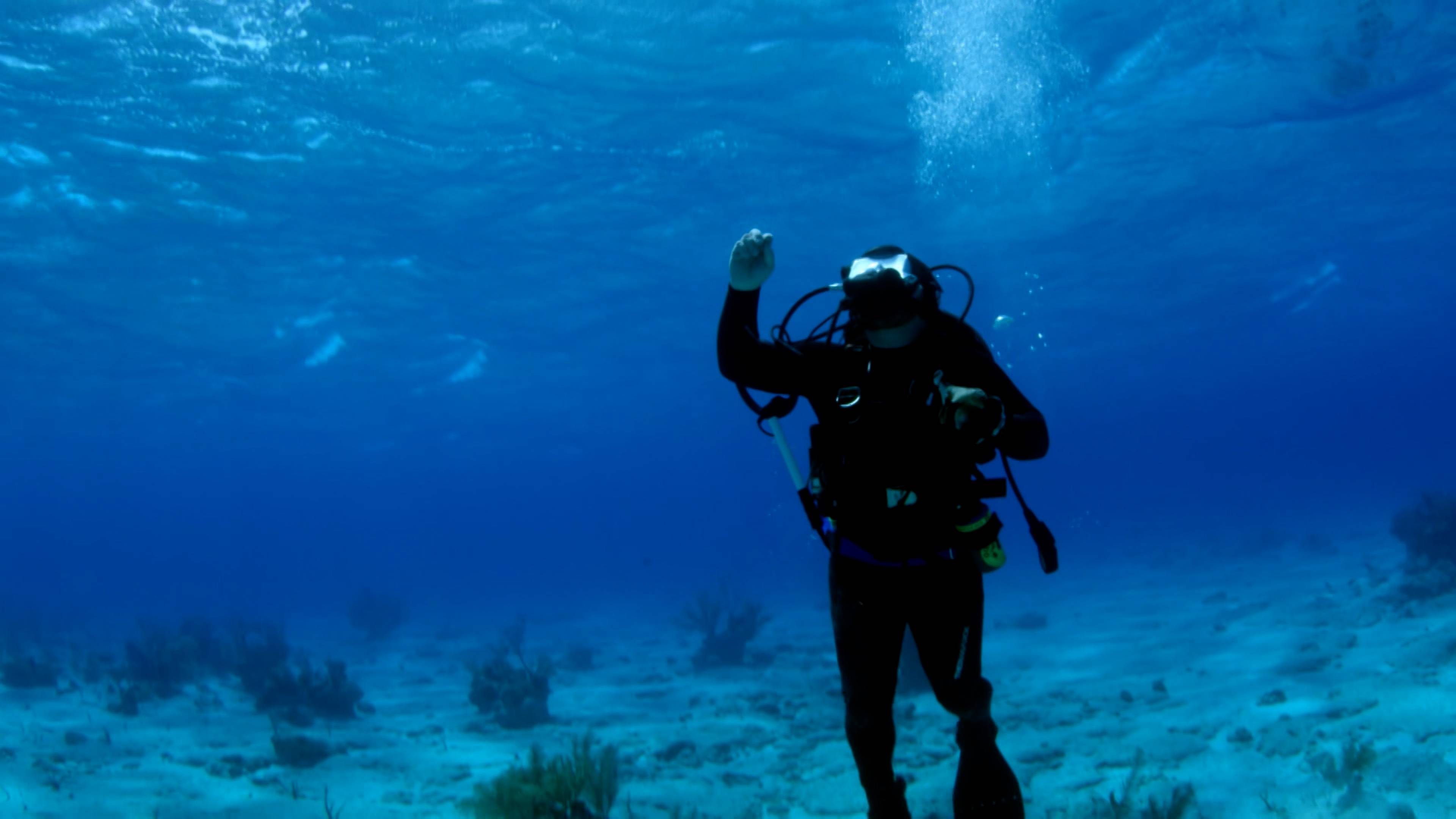 Hunt for the Gold Table