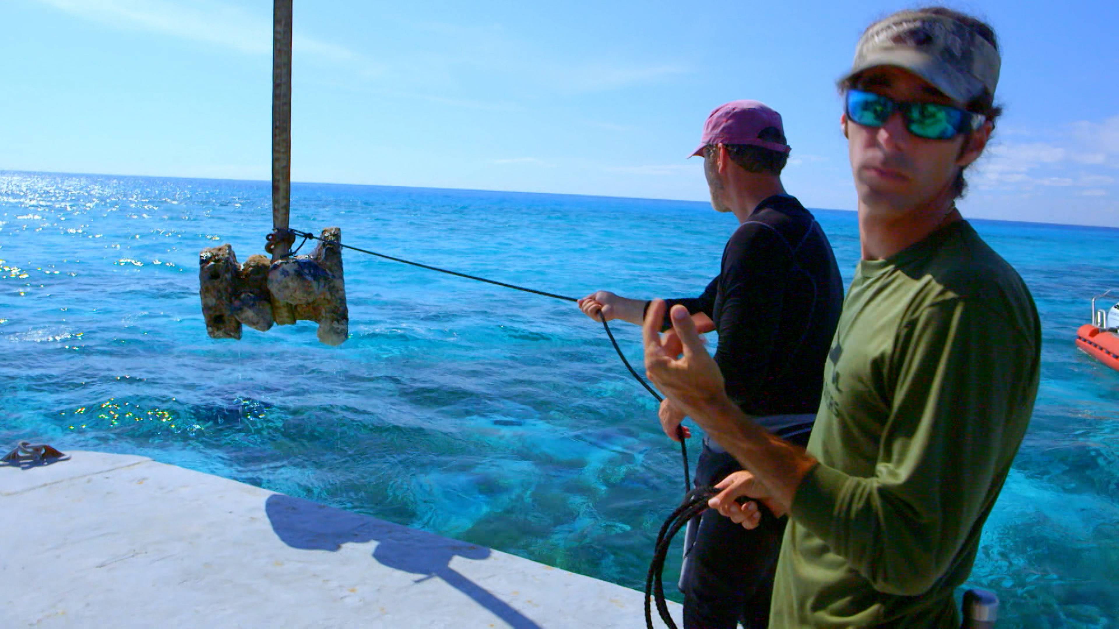 Treasure and Tragedy