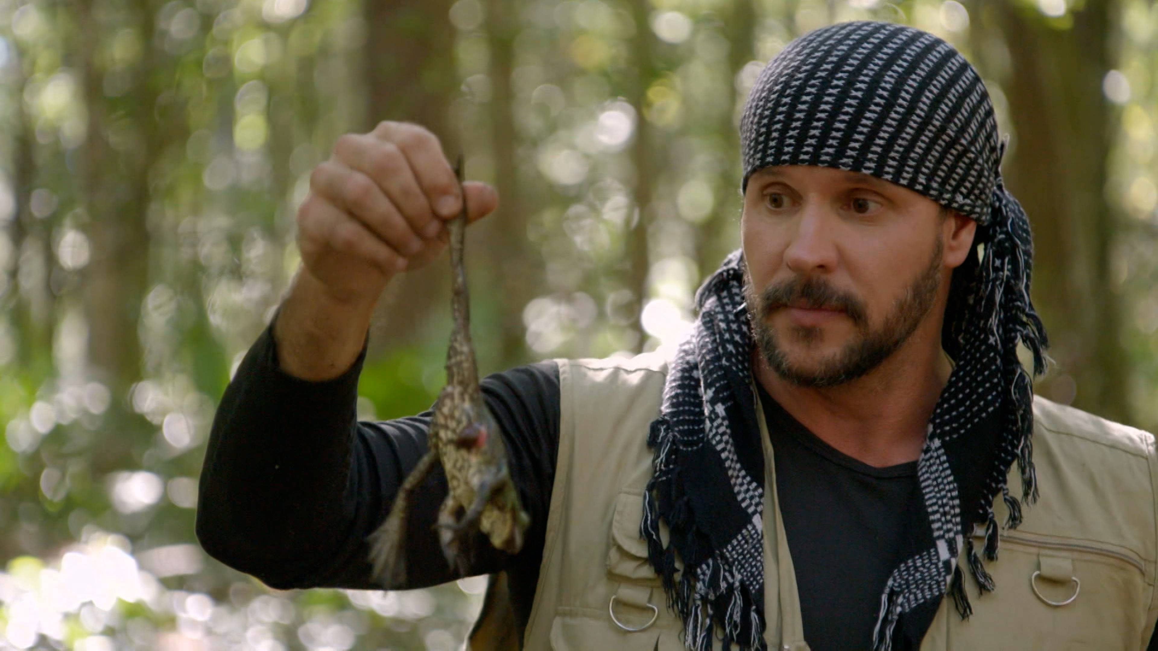 المستنقعات