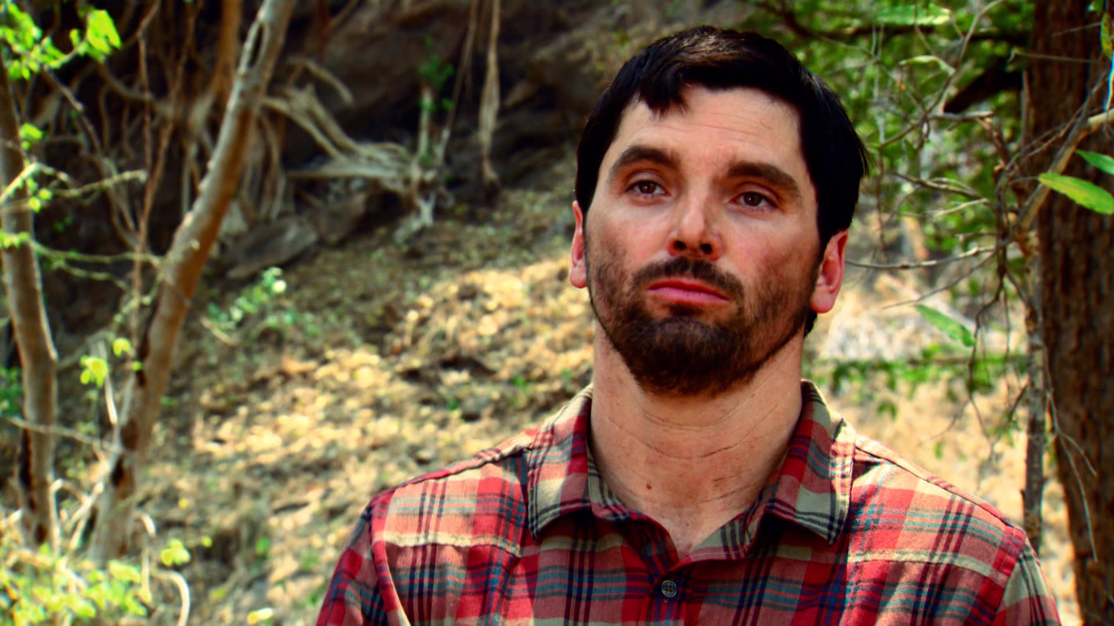 إن لم تكن ذئباً أكلتك الذئاب