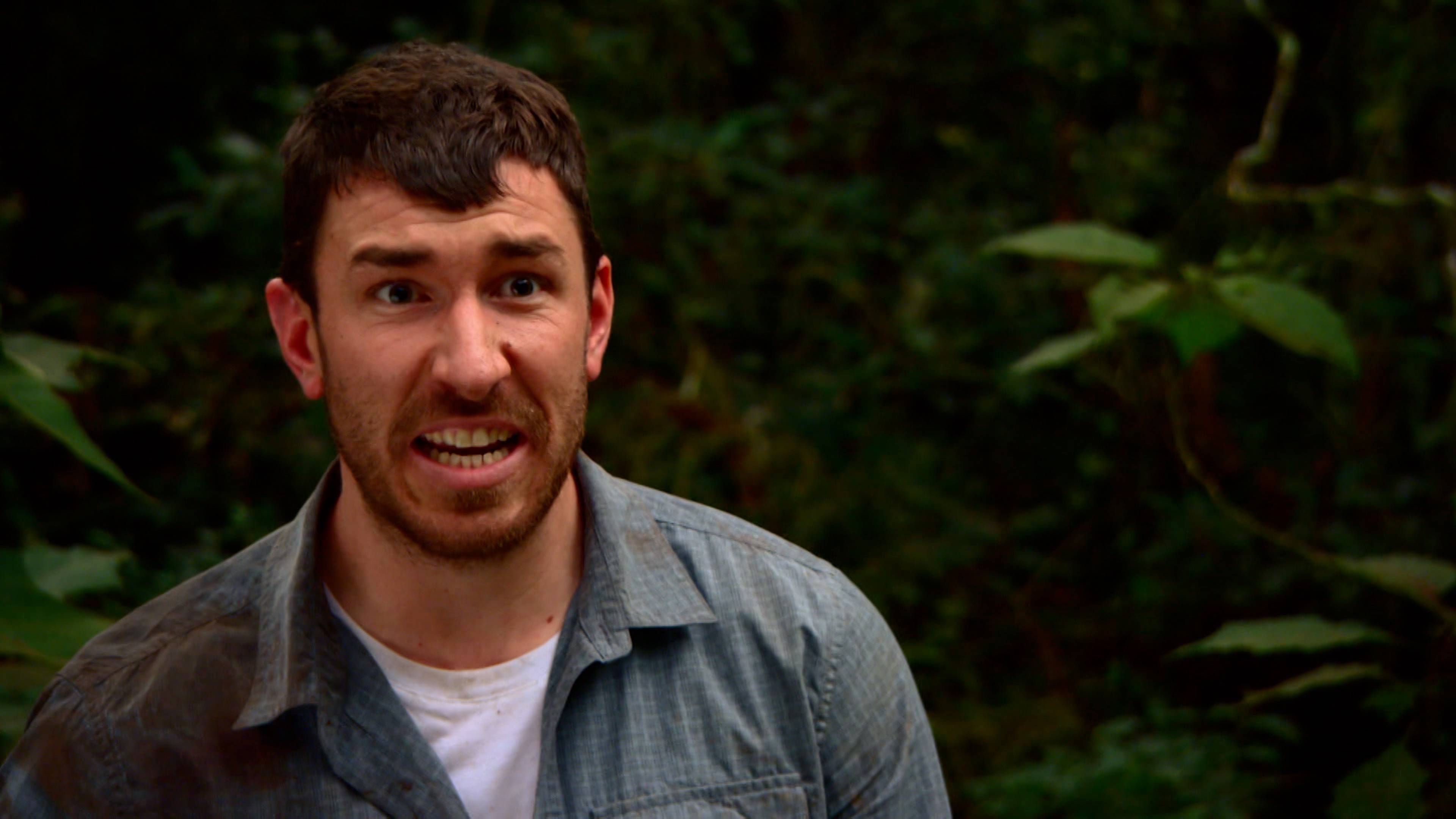 غابة الجحيم