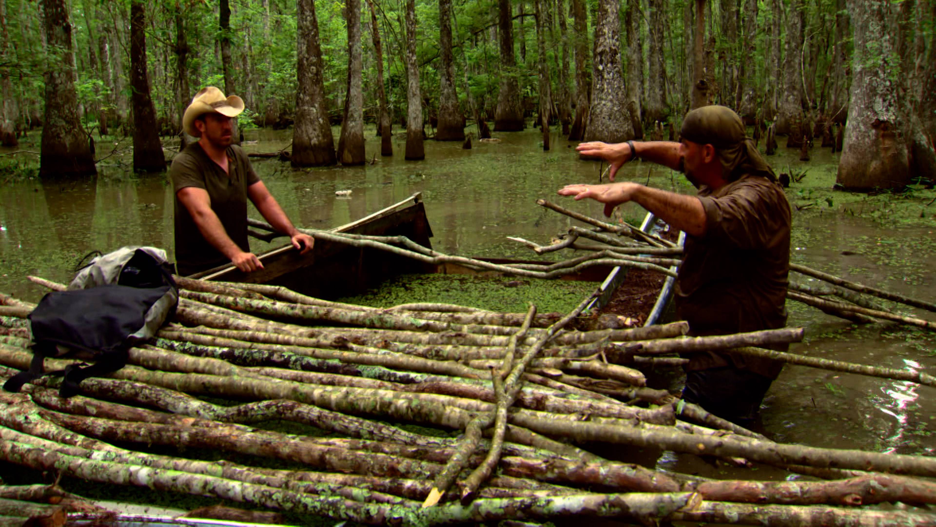 طعام التمساح