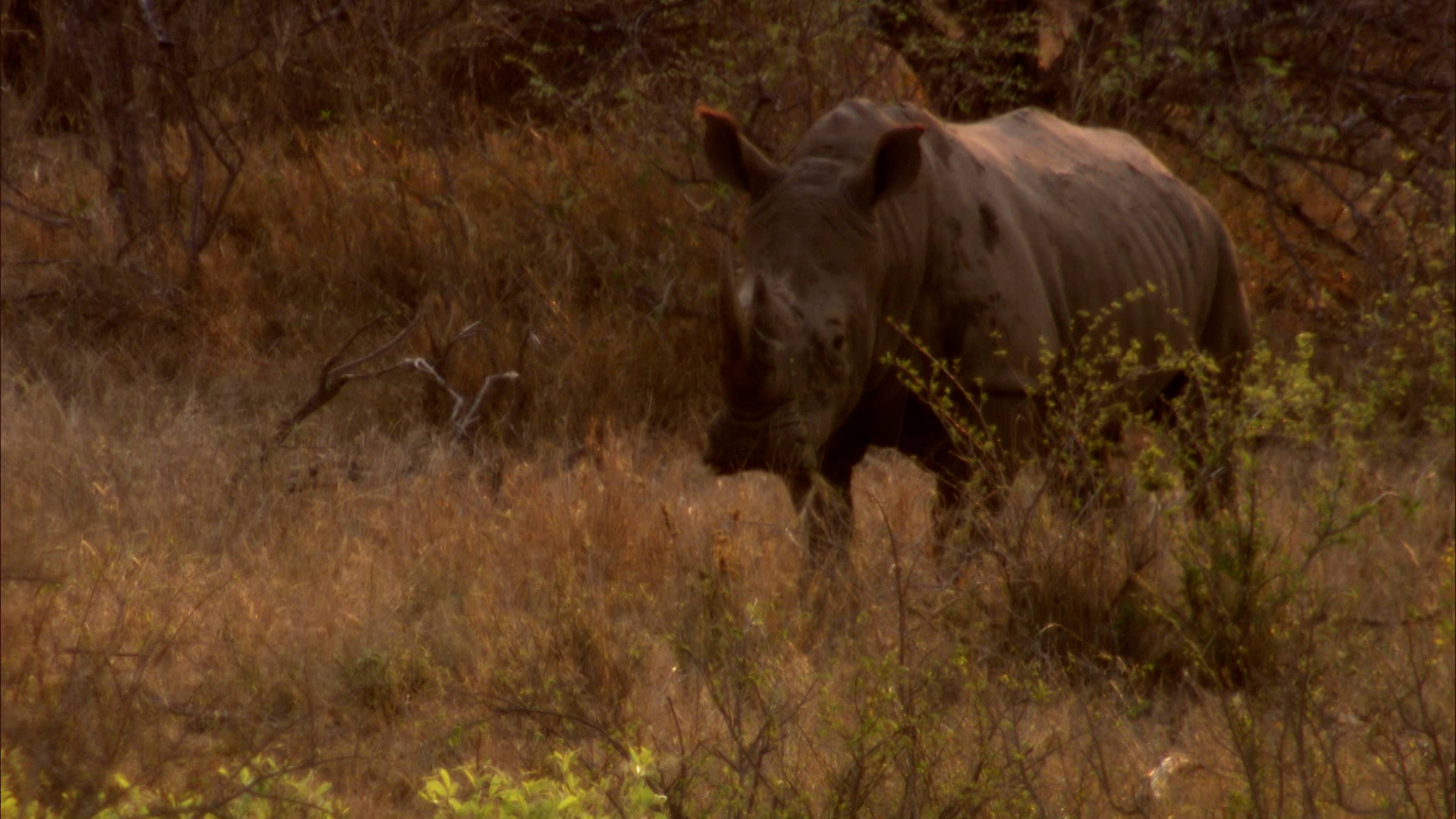 على القائمة