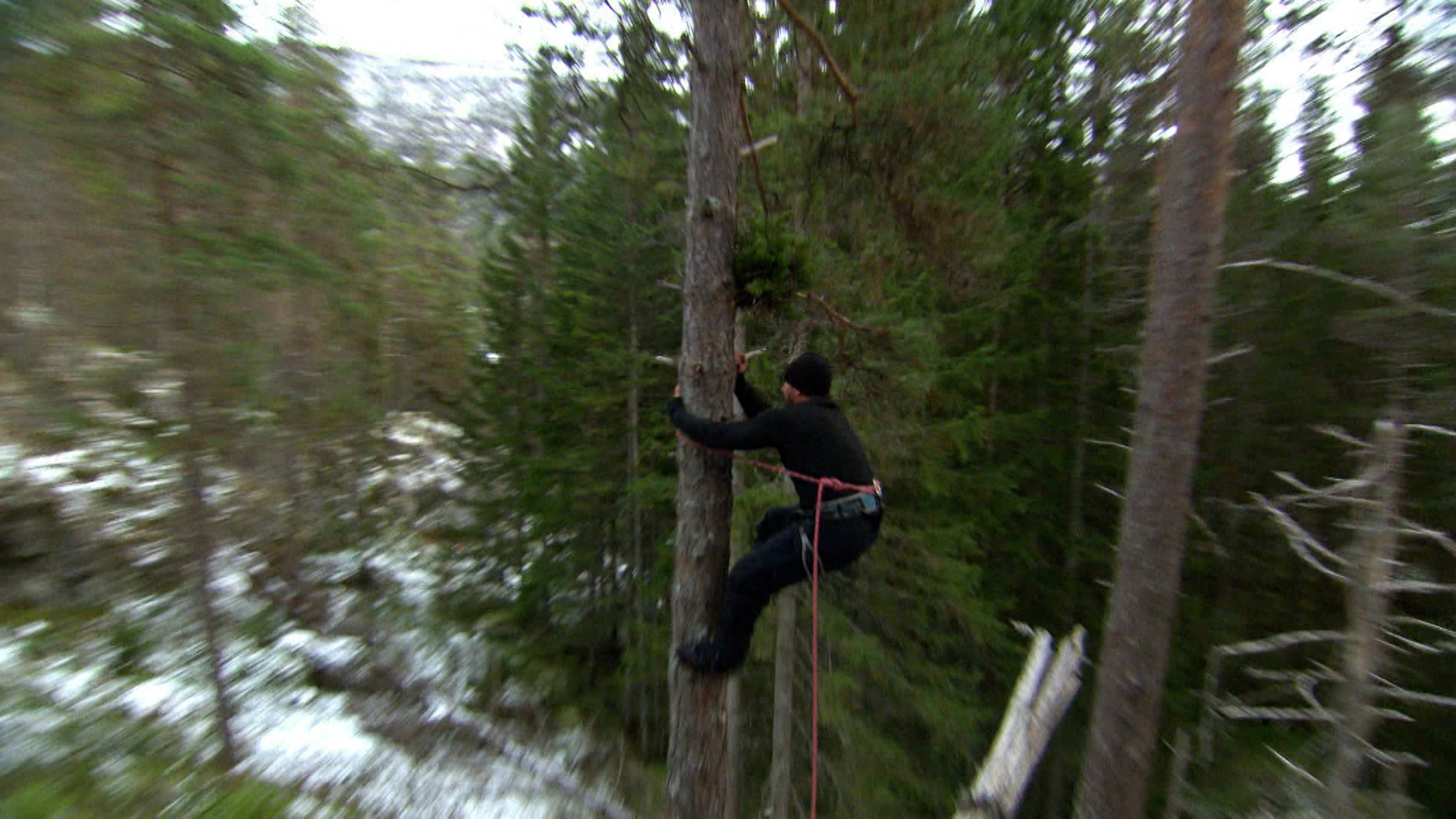 انهيار جليدي