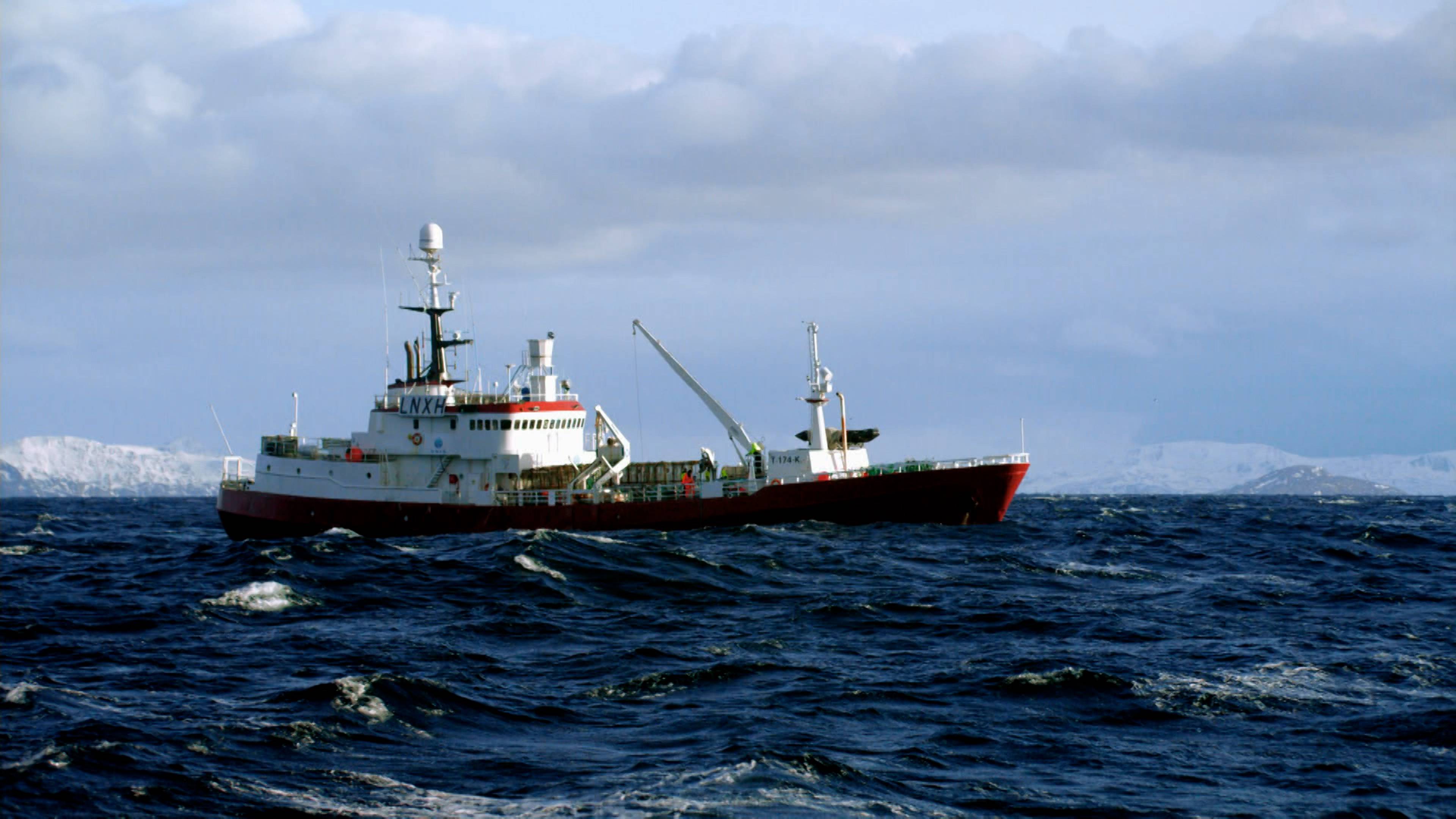 الملوك ضد المتصيدون