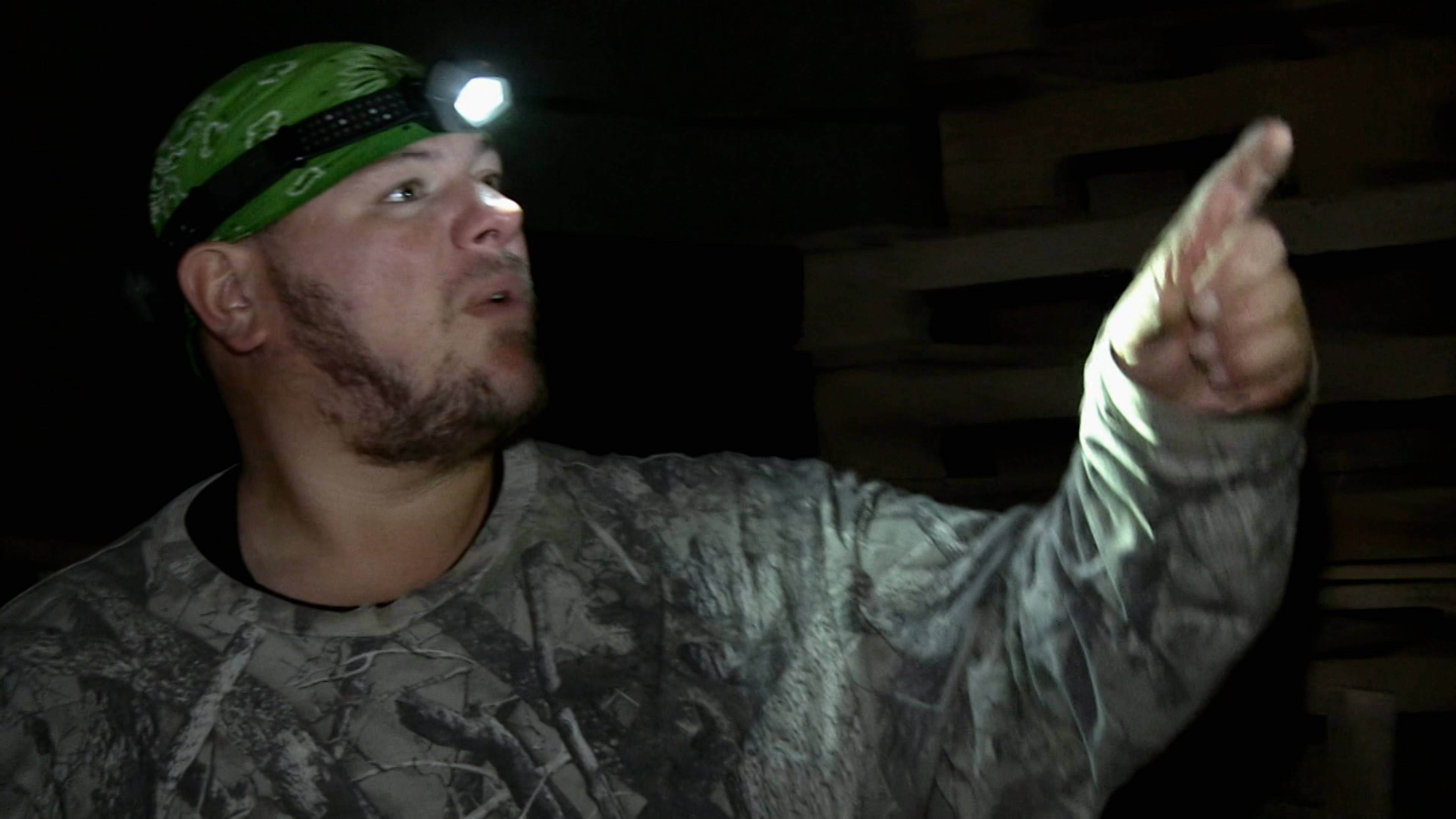 The Dark Forest Revealed