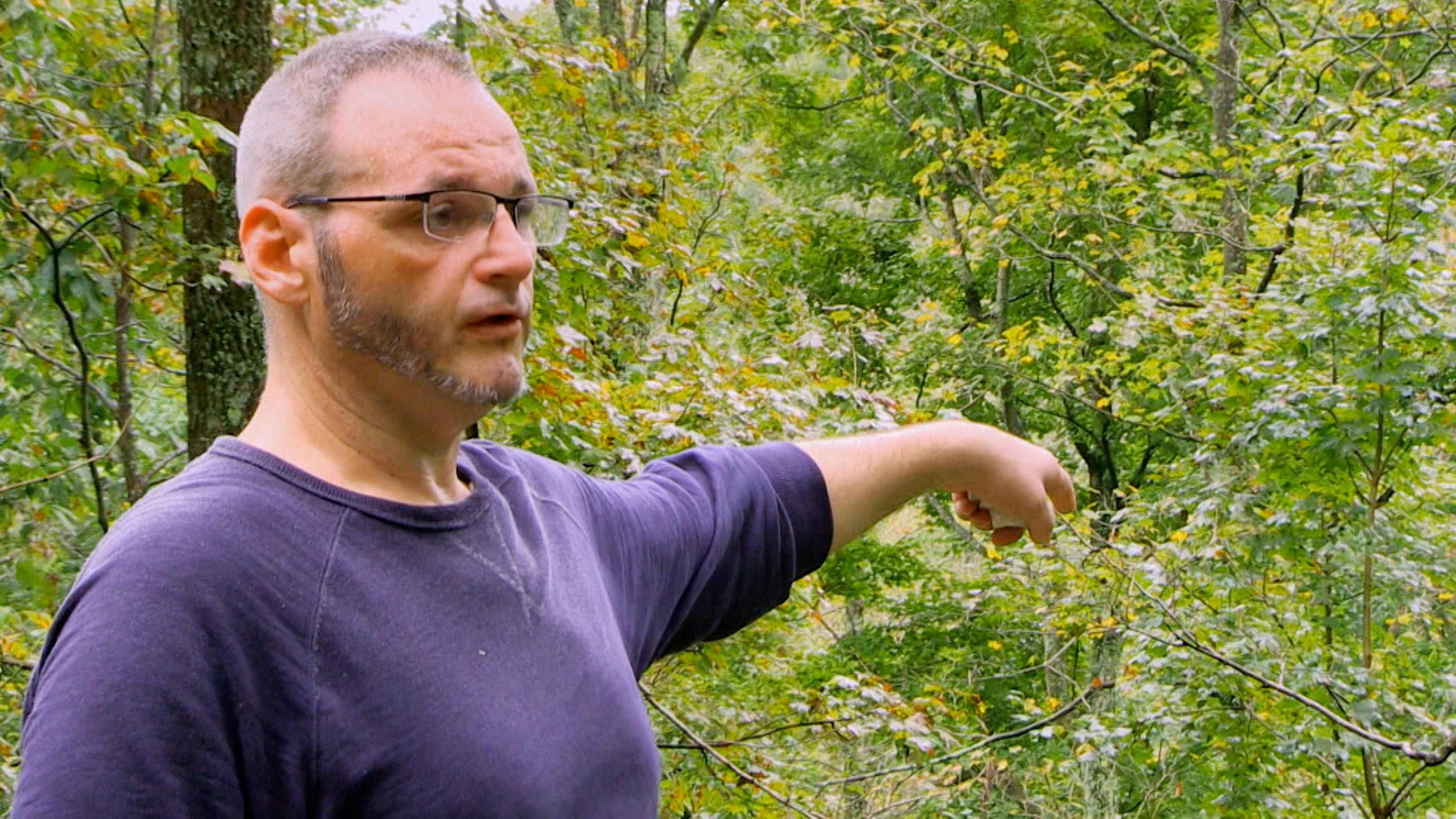 Silver Giant of Boone County