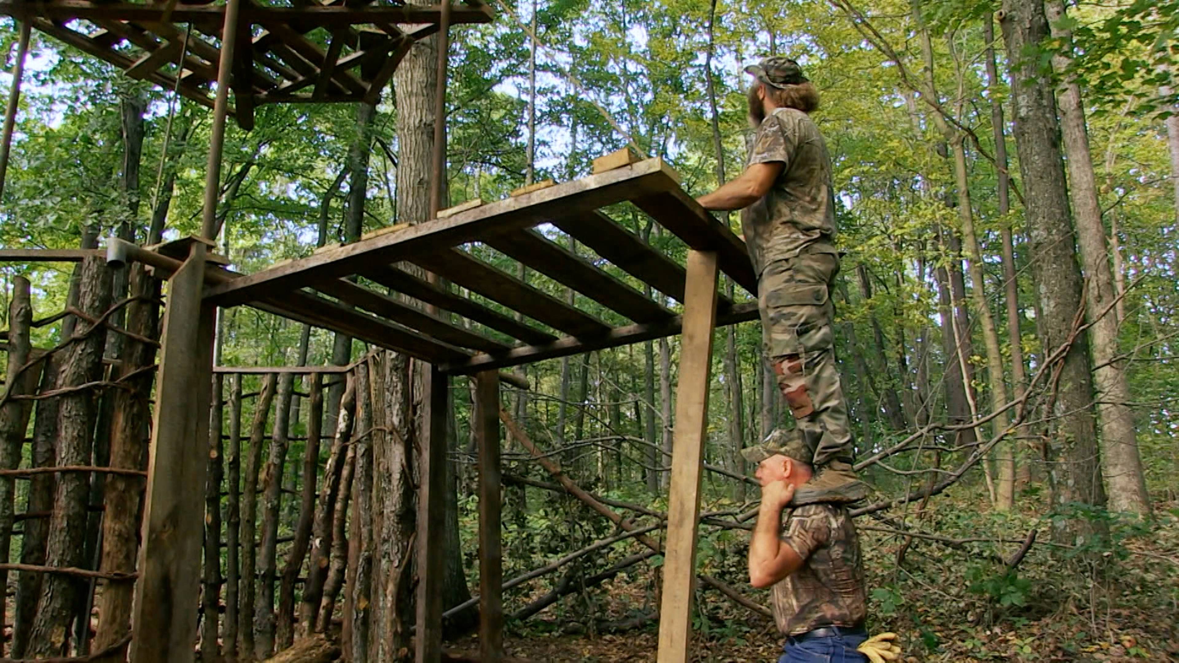 Mystery of the Death Cat Barn