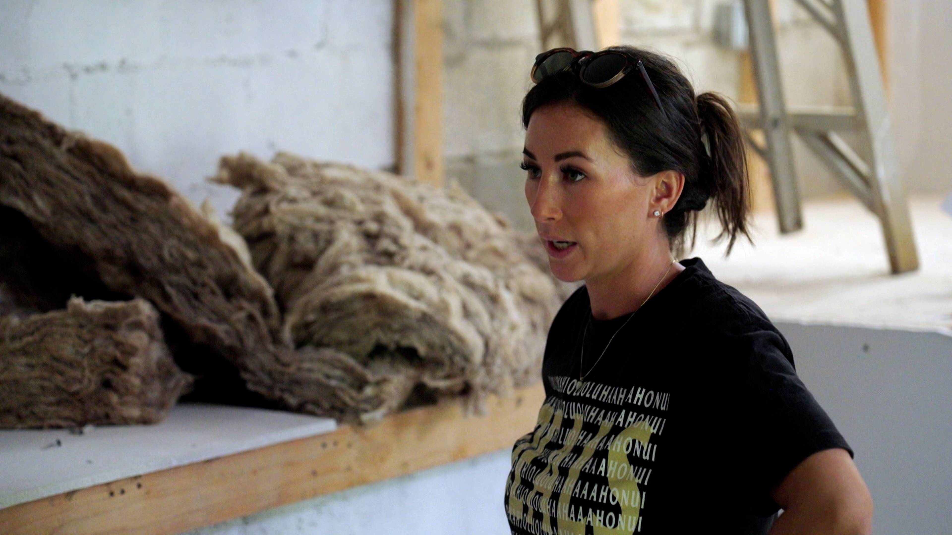 Historic Hawaiian Finds