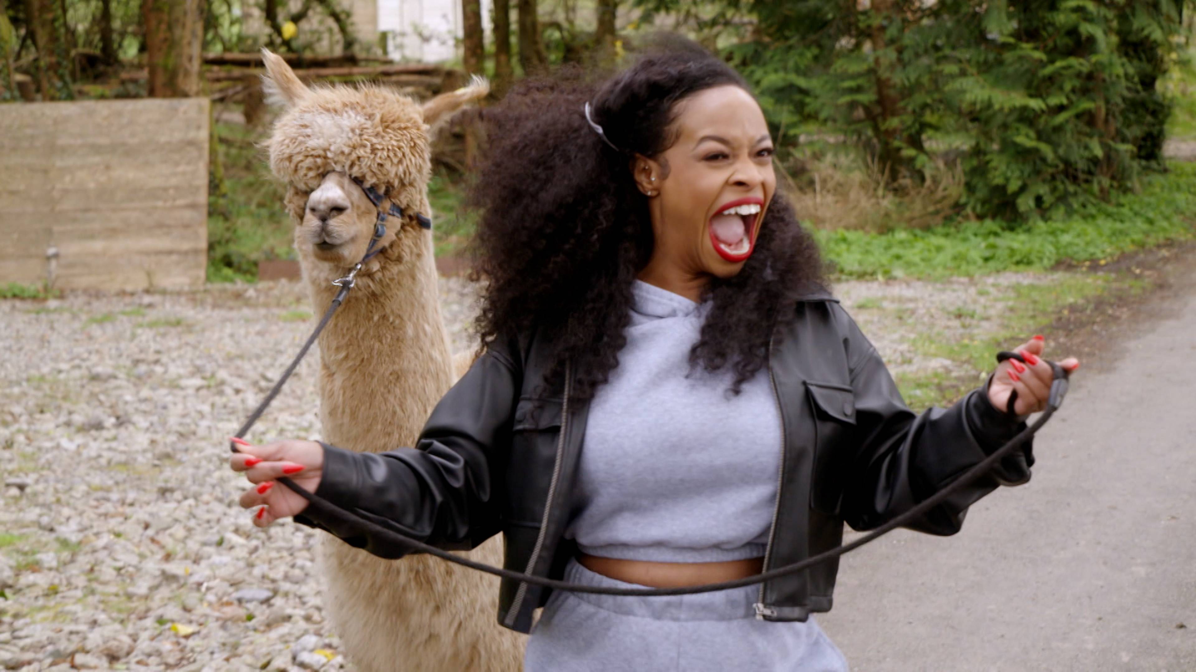 الحرارة في أقصاها