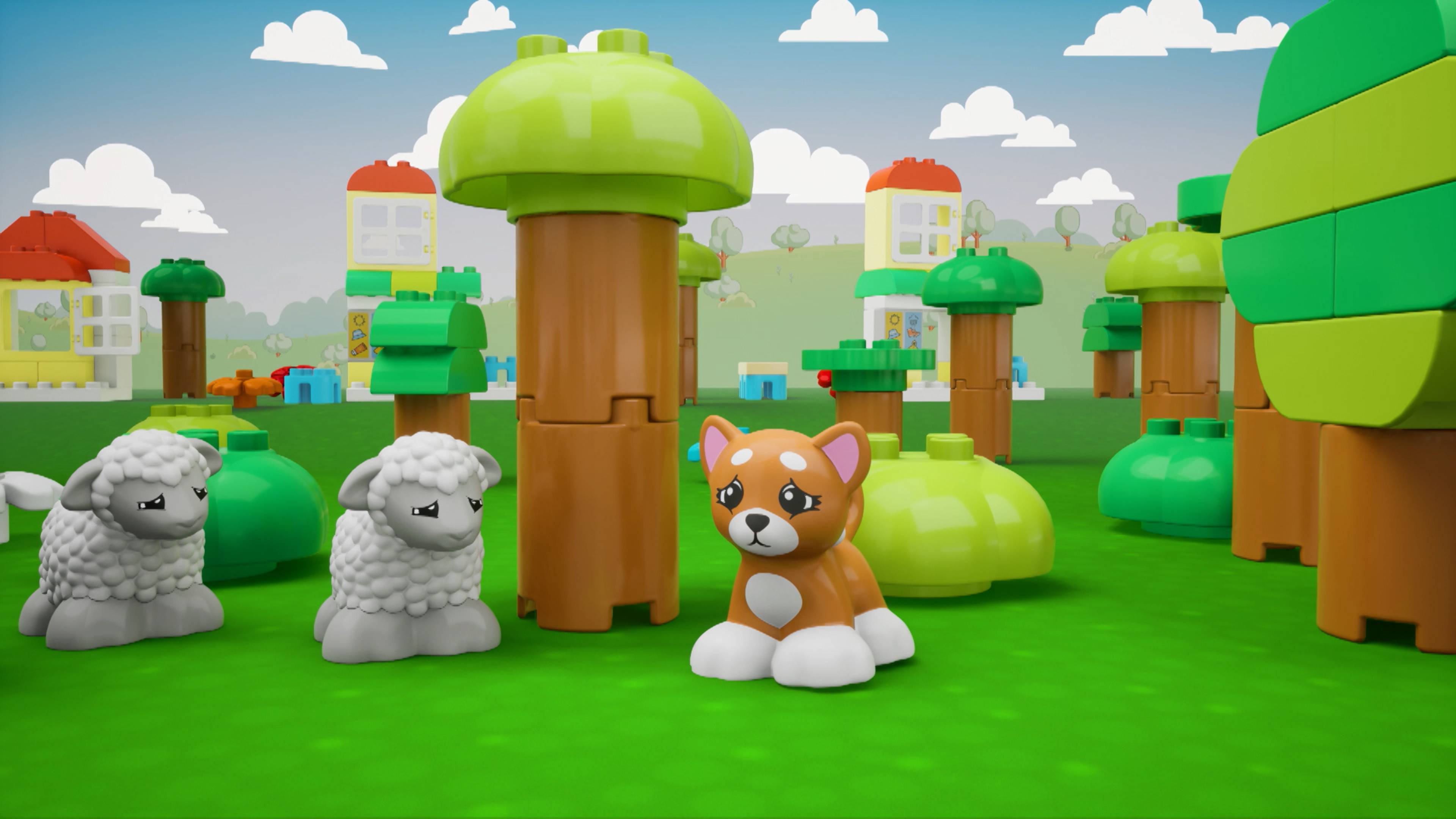 Trip To The Vet Song