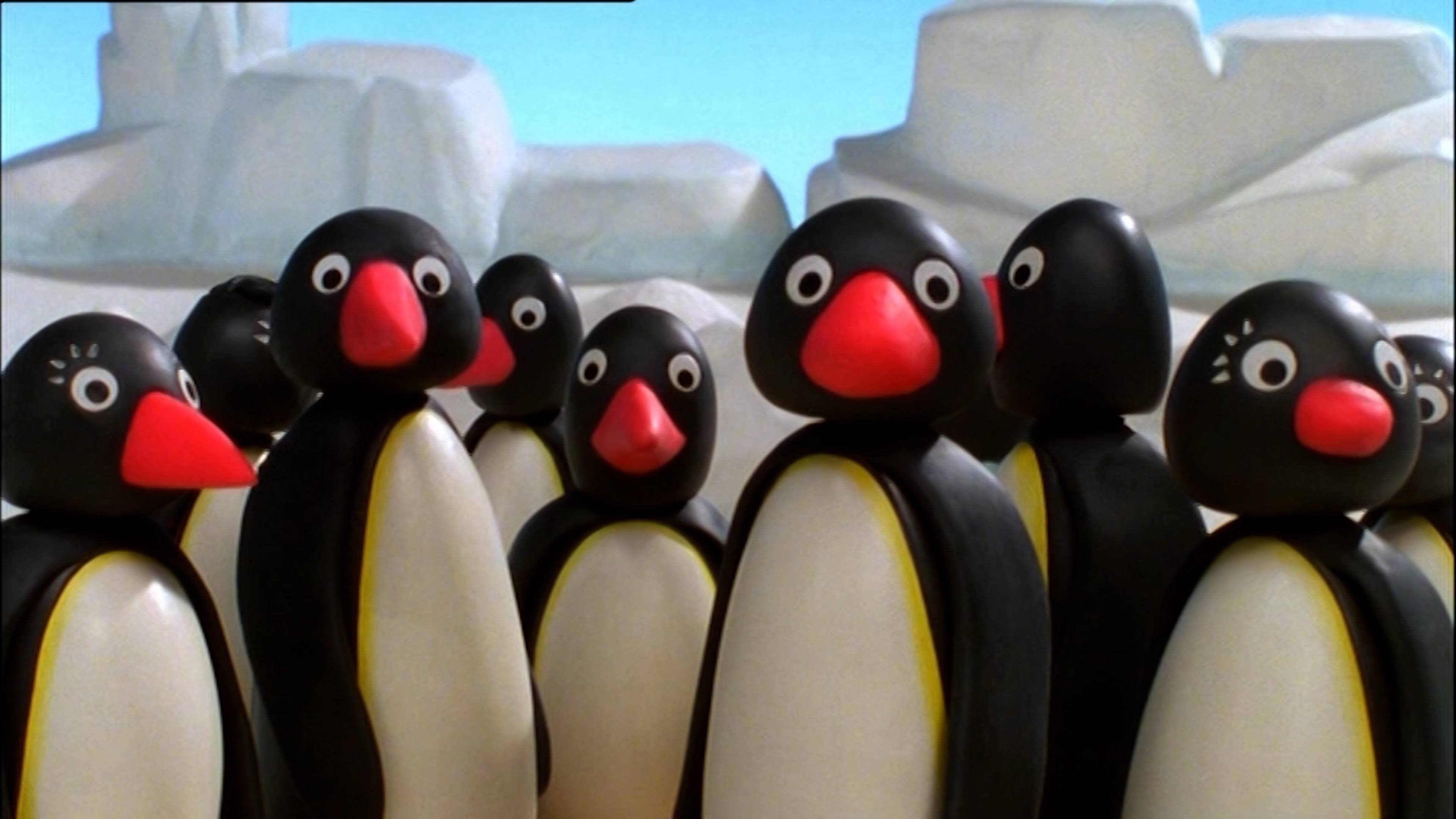 بينغو أند ذا سكول بيت / بينغو غيتس كاريد أواي