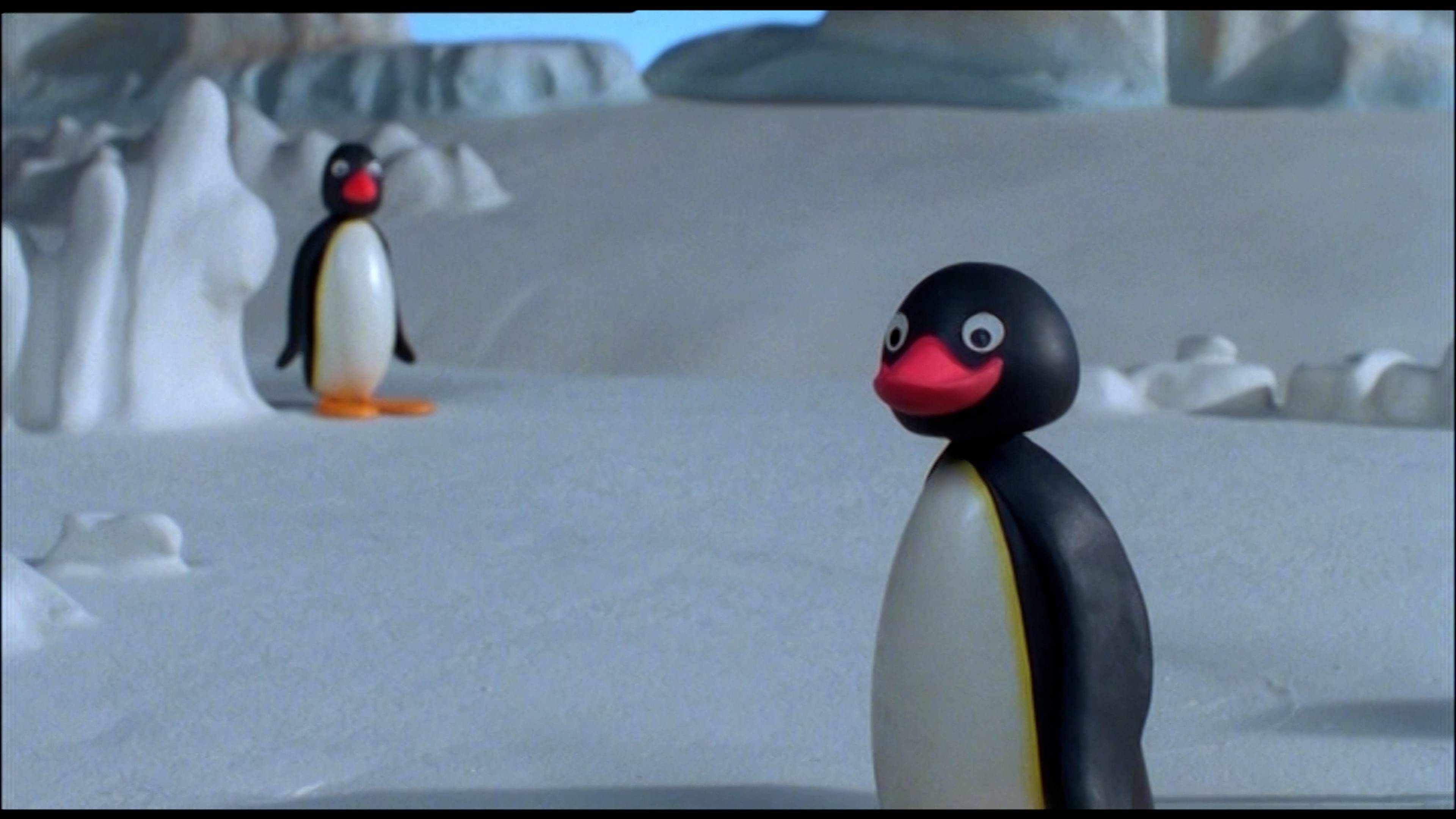 بينجو آند ذا ليتر / بينجو'س بيج كاتش