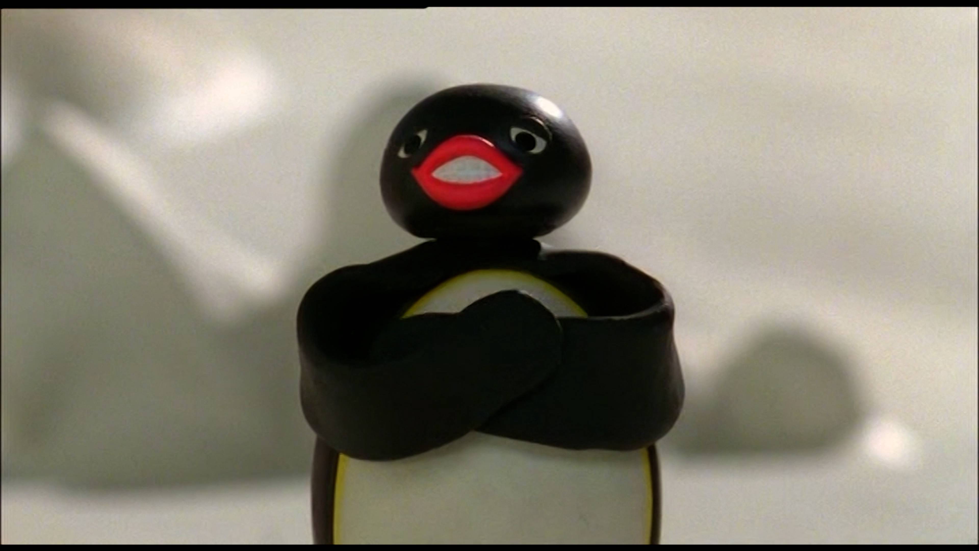 بينغووز مون أدفنتشر / روبي ذا سنوبوردر