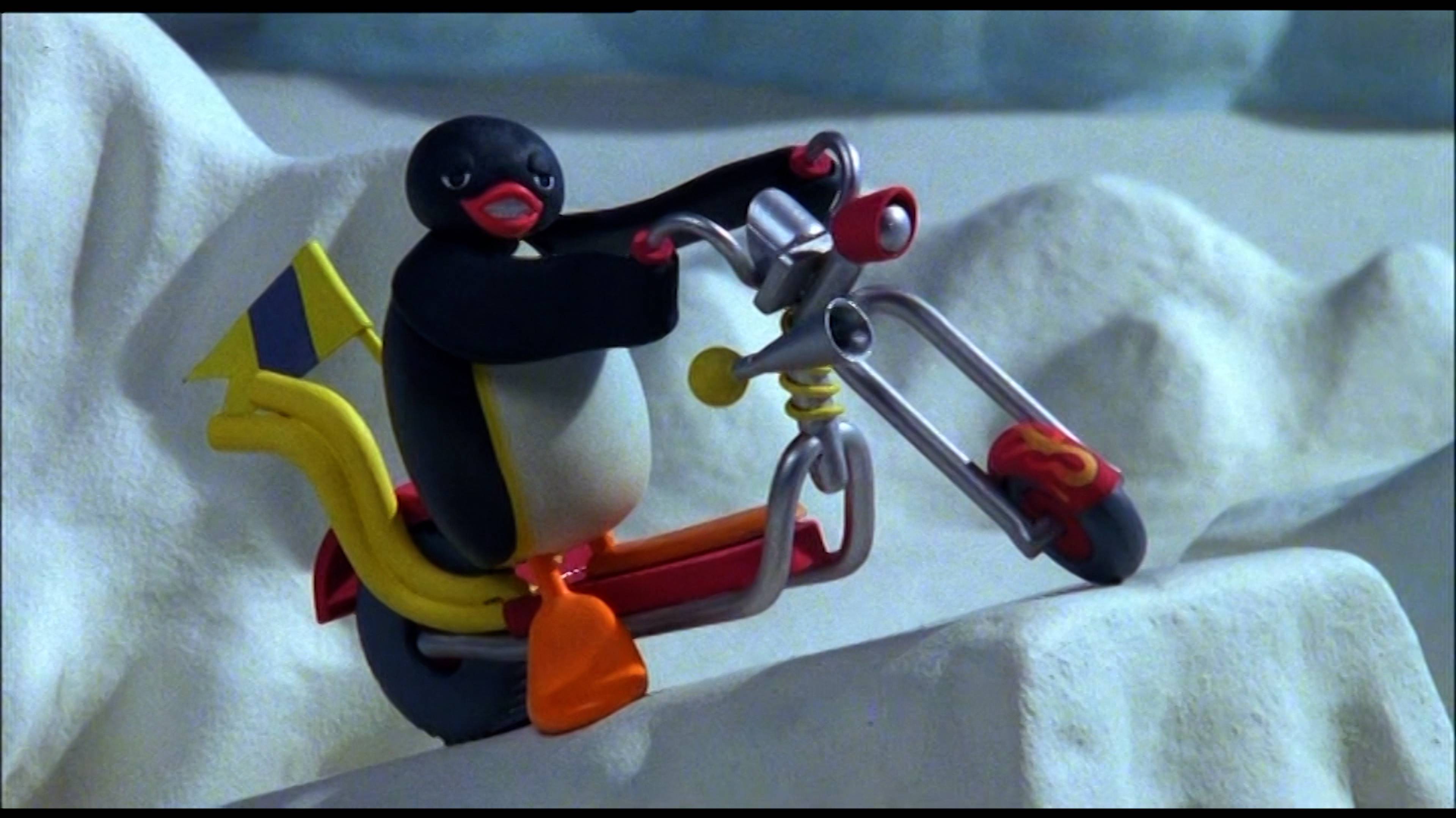 بينغو آند ذا نيو سكوتر / بينغو آند ذا بوكس