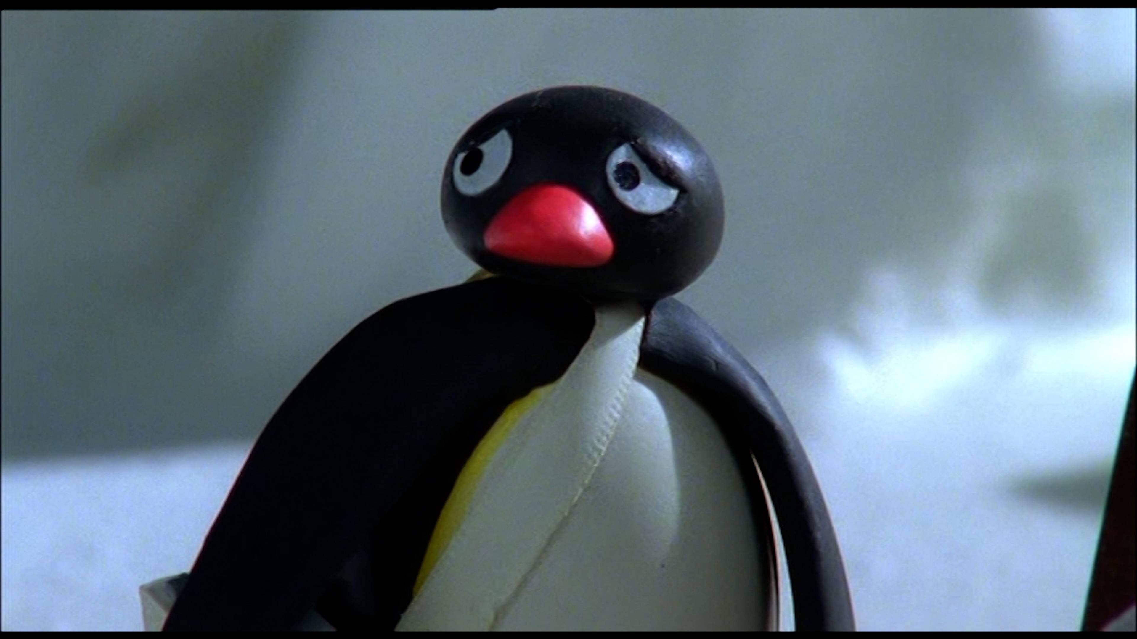 بينغو رابس أب/ بينغو أند ذا هاوس